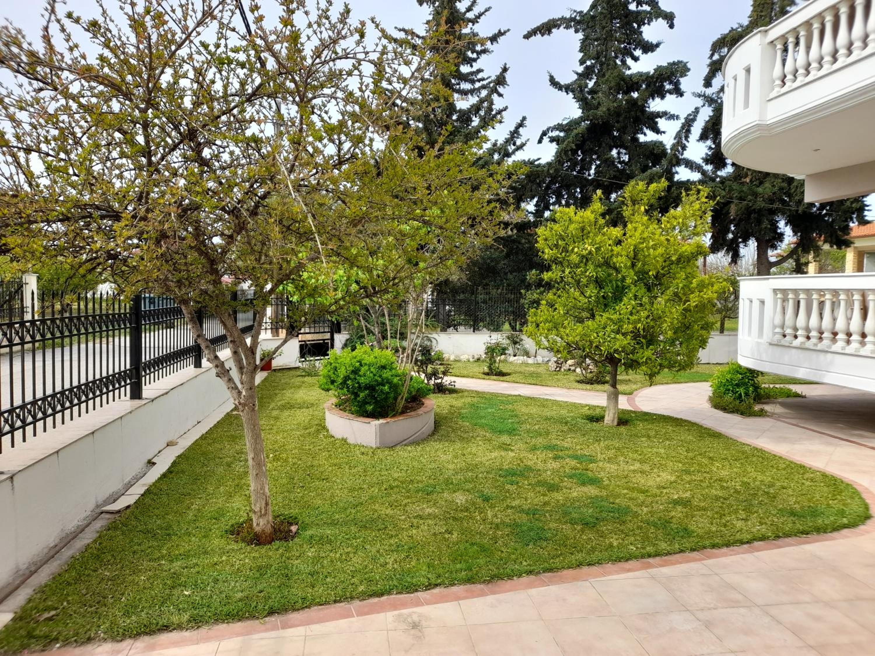 Photo 45