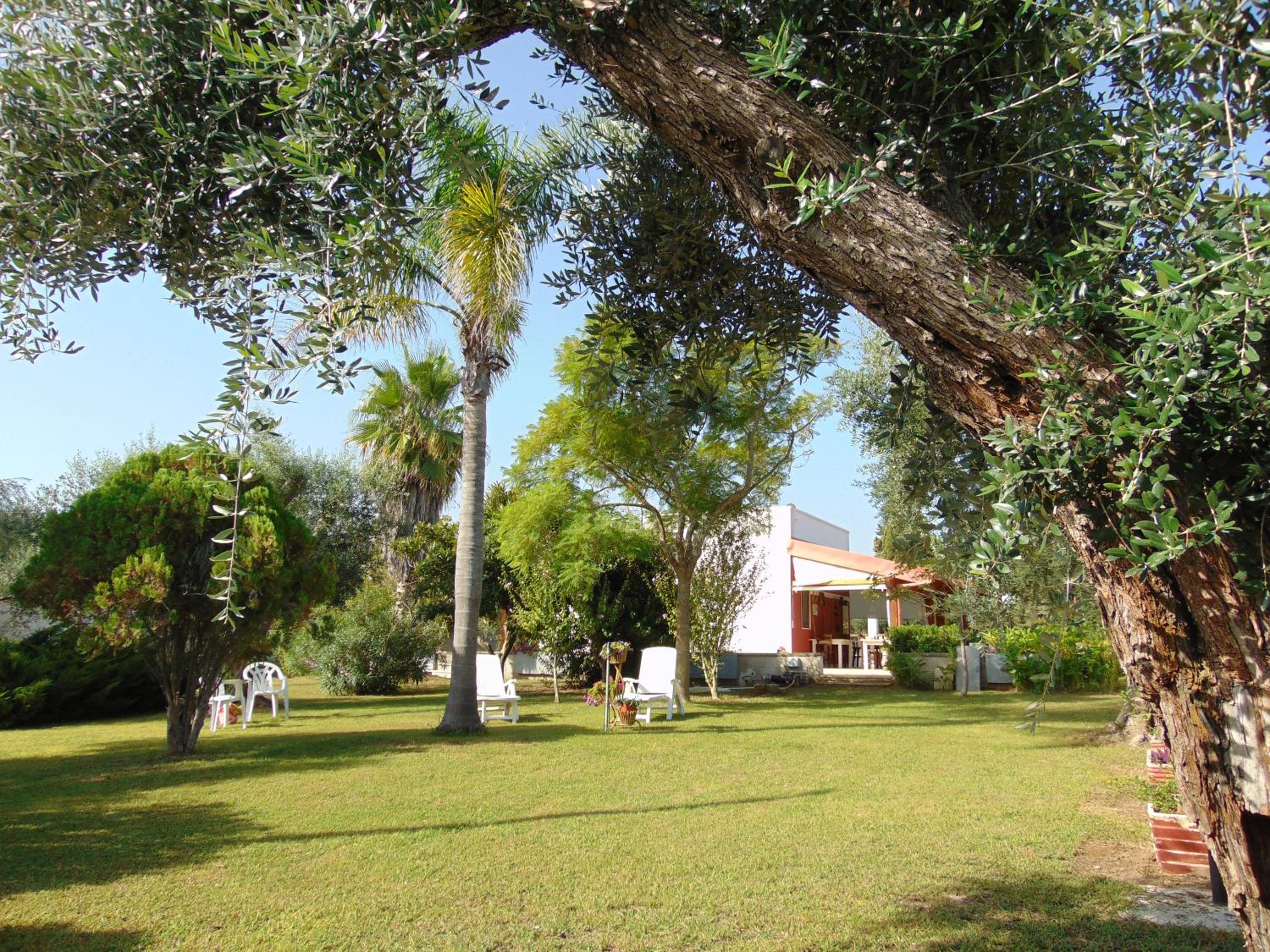 Photo 46
