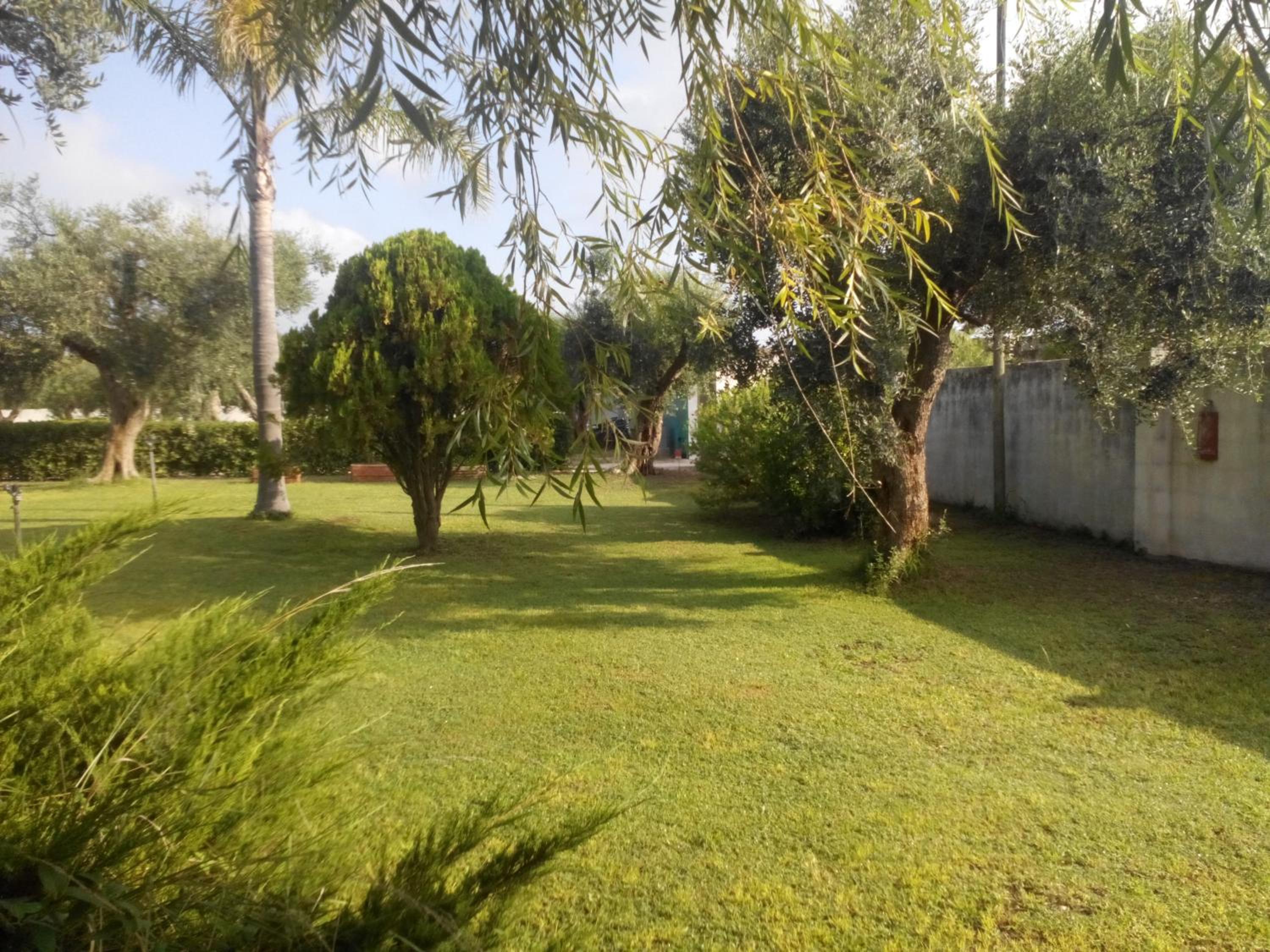 Photo 36