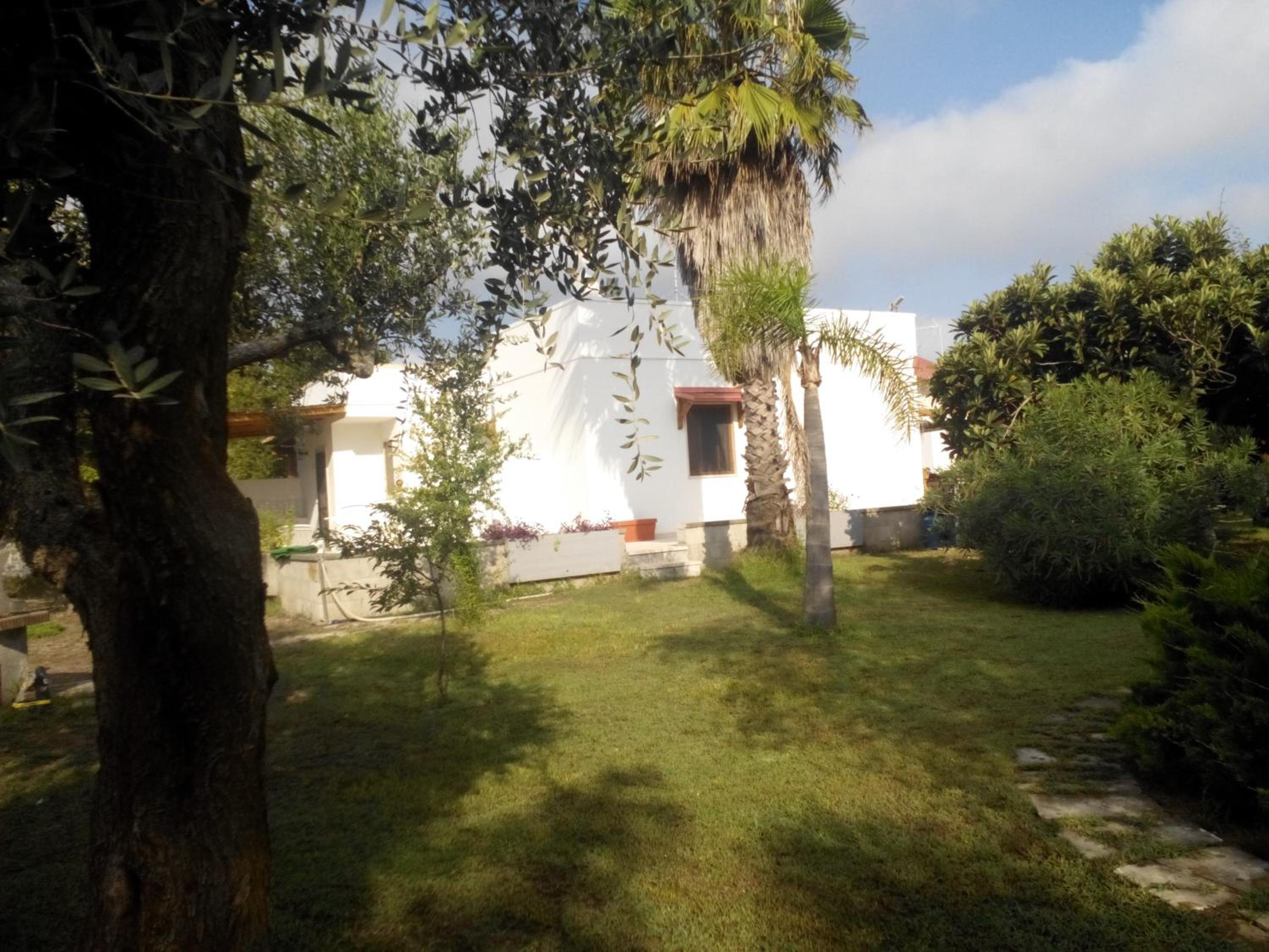 Photo 45