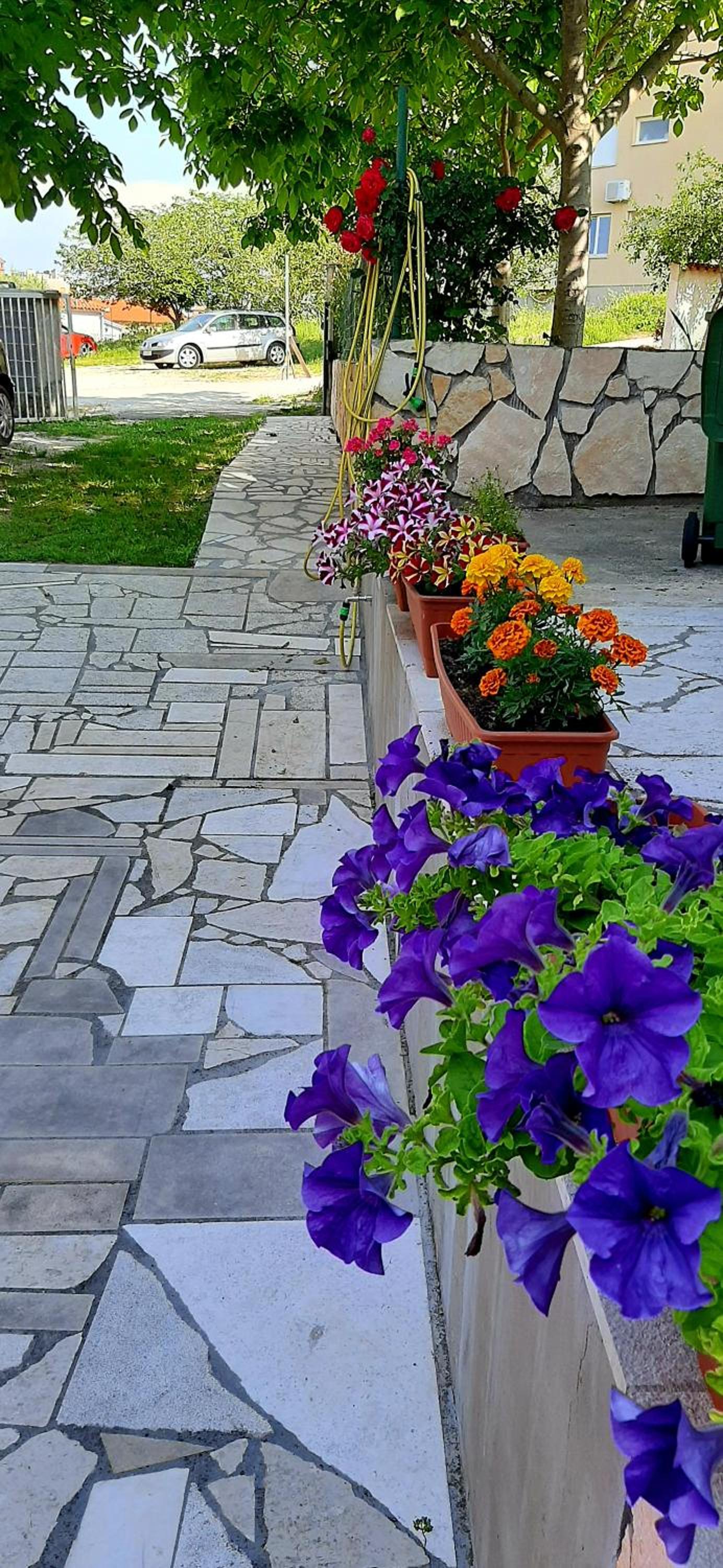 Photo 52