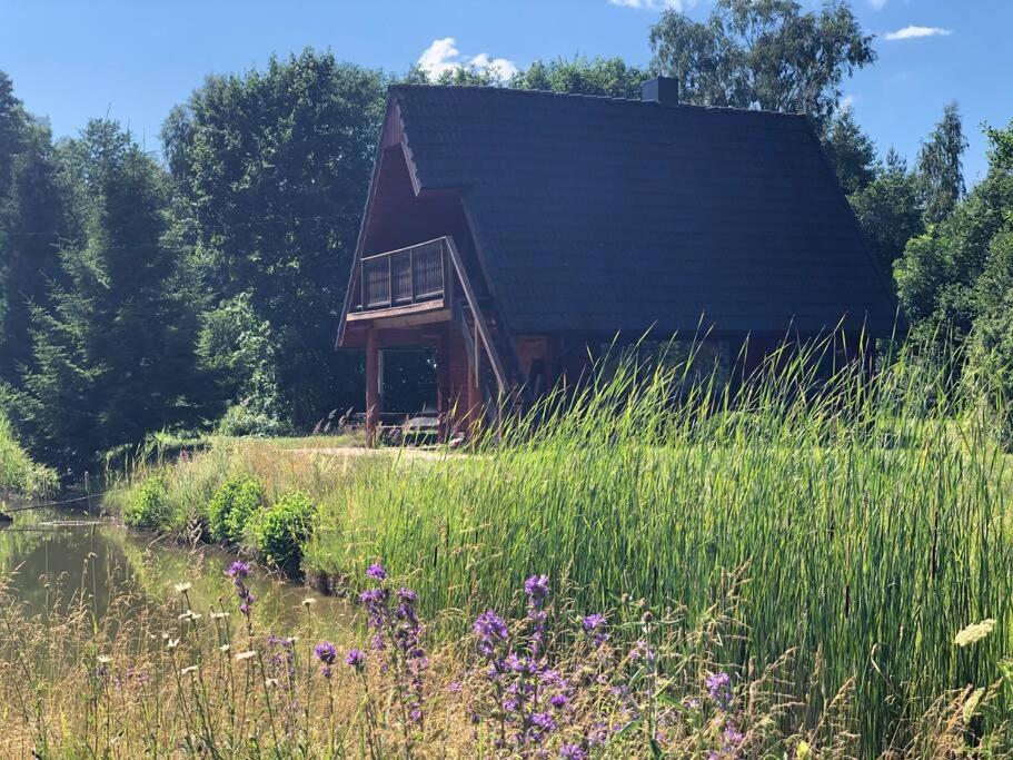 Holidayhouse with sauna and pond Leesoja puhkemaja