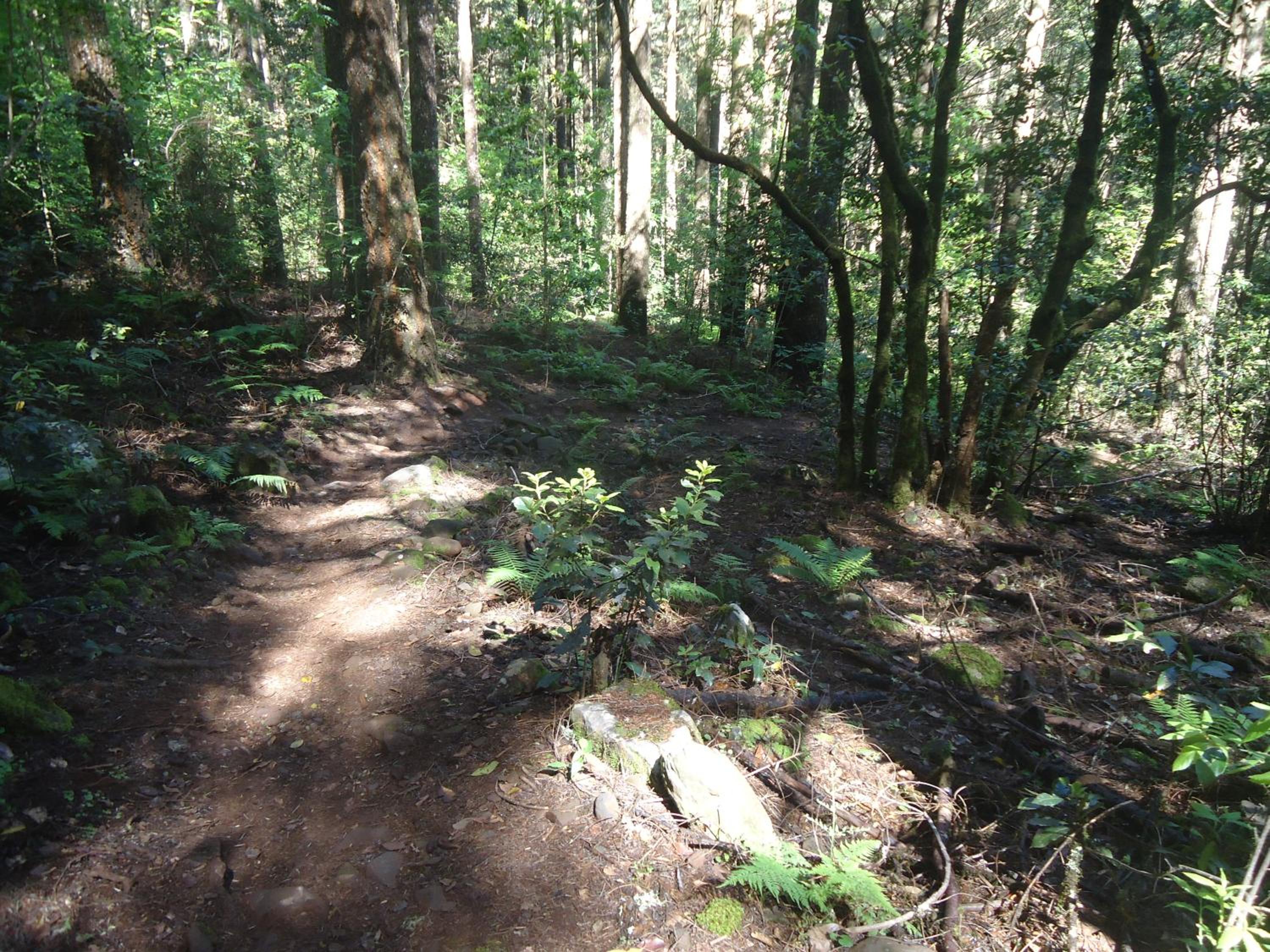 Photo 34