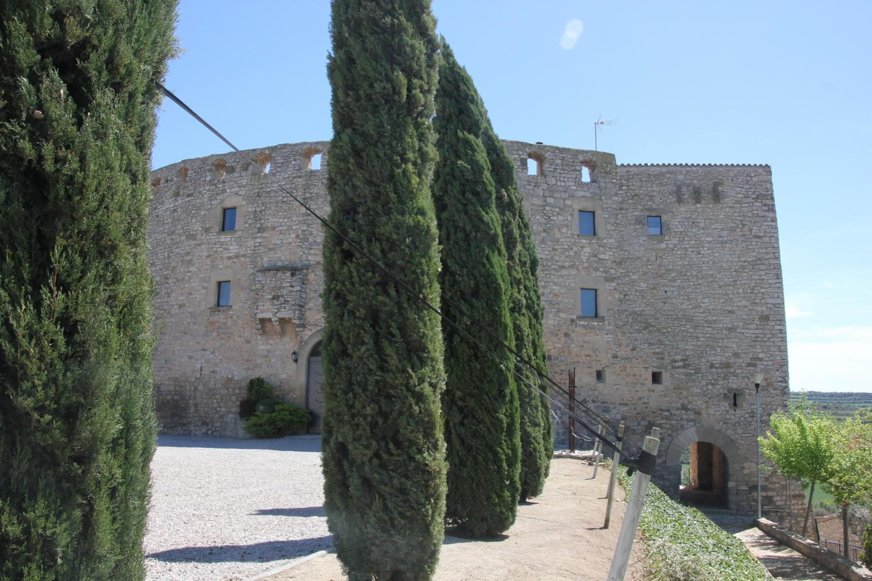 Photo 48