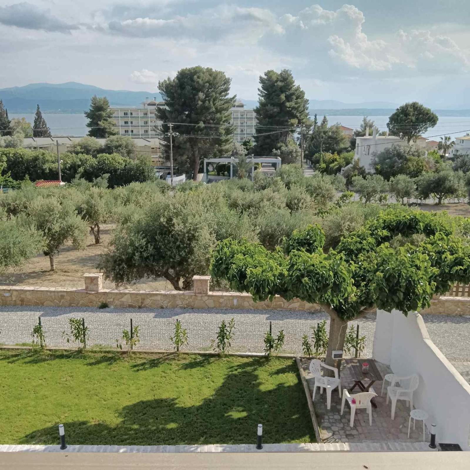 Villa Ioulia Malakonda, Eretria ,Greece photo 4