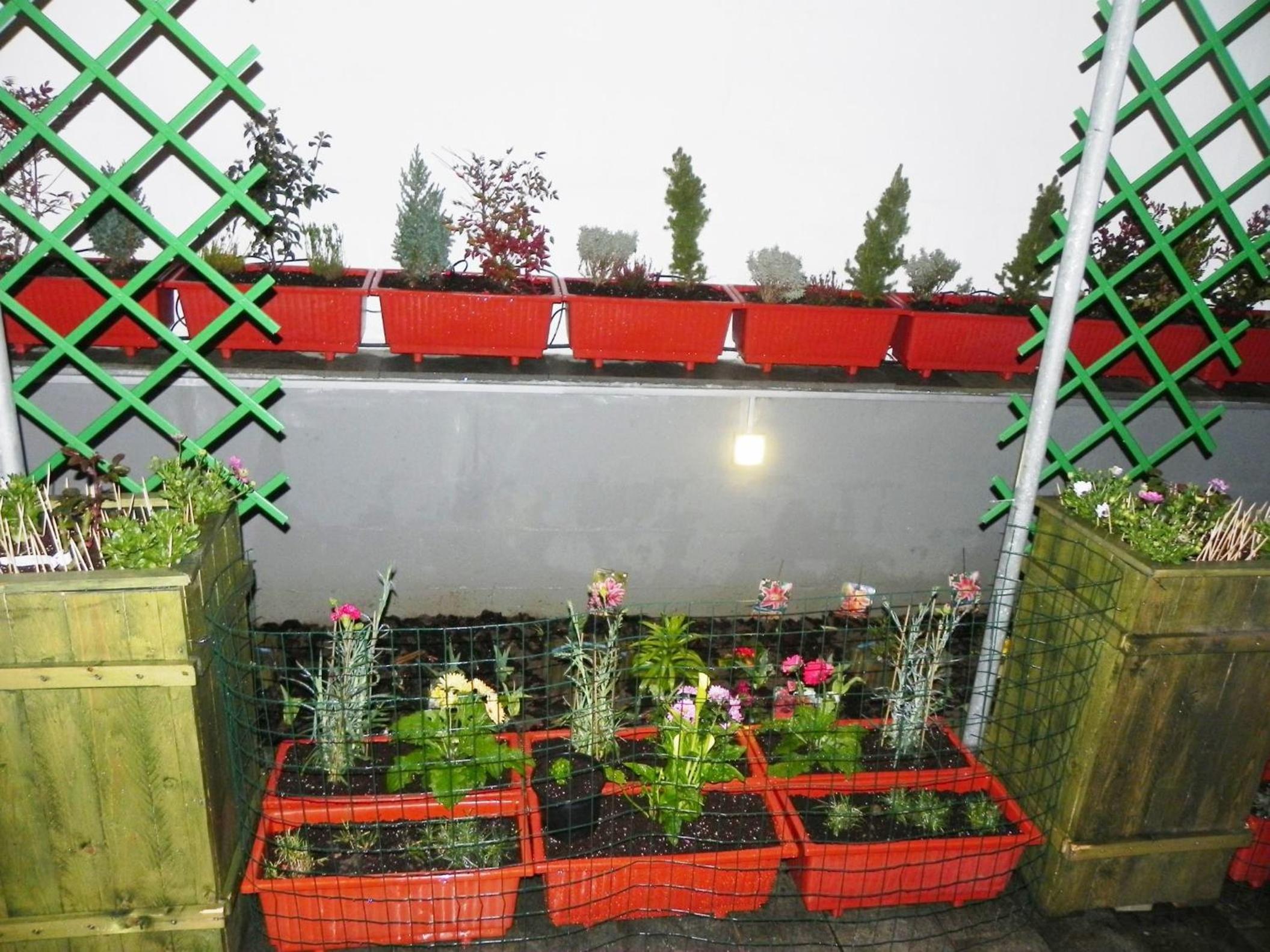 Photo 44