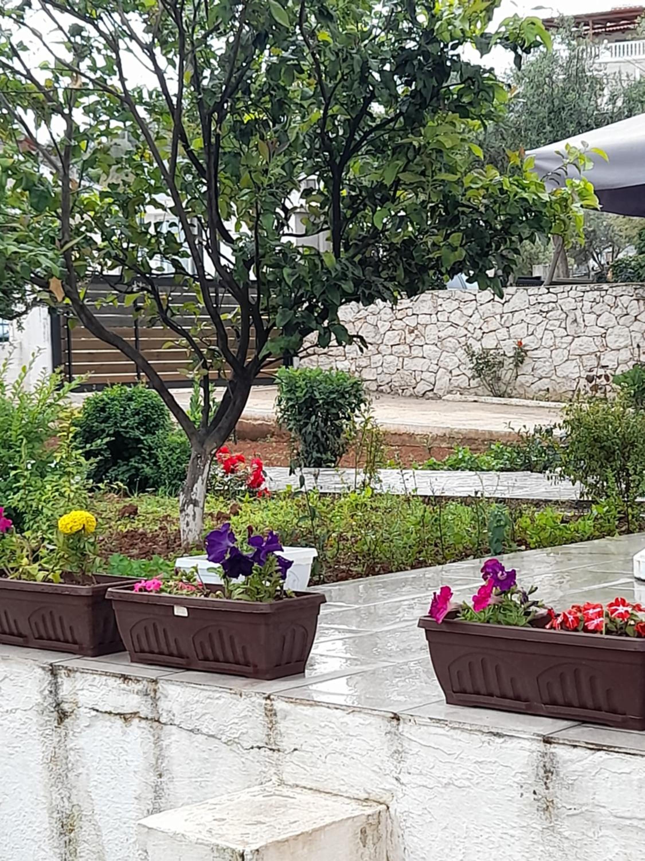 Vila F&M ksamil