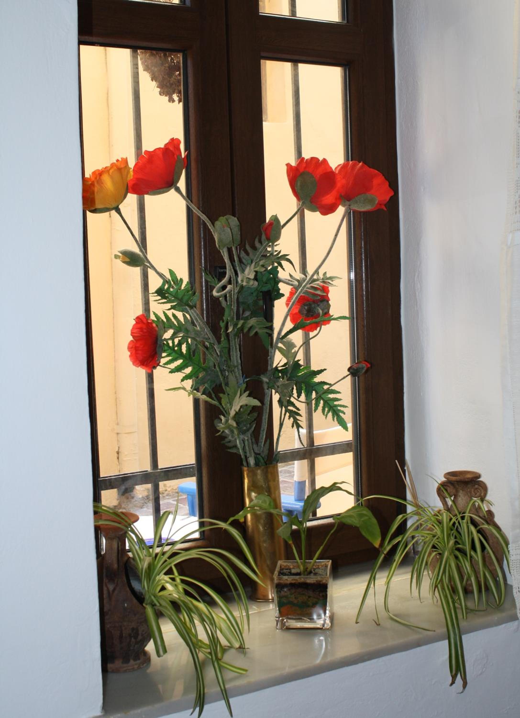 Photo 45