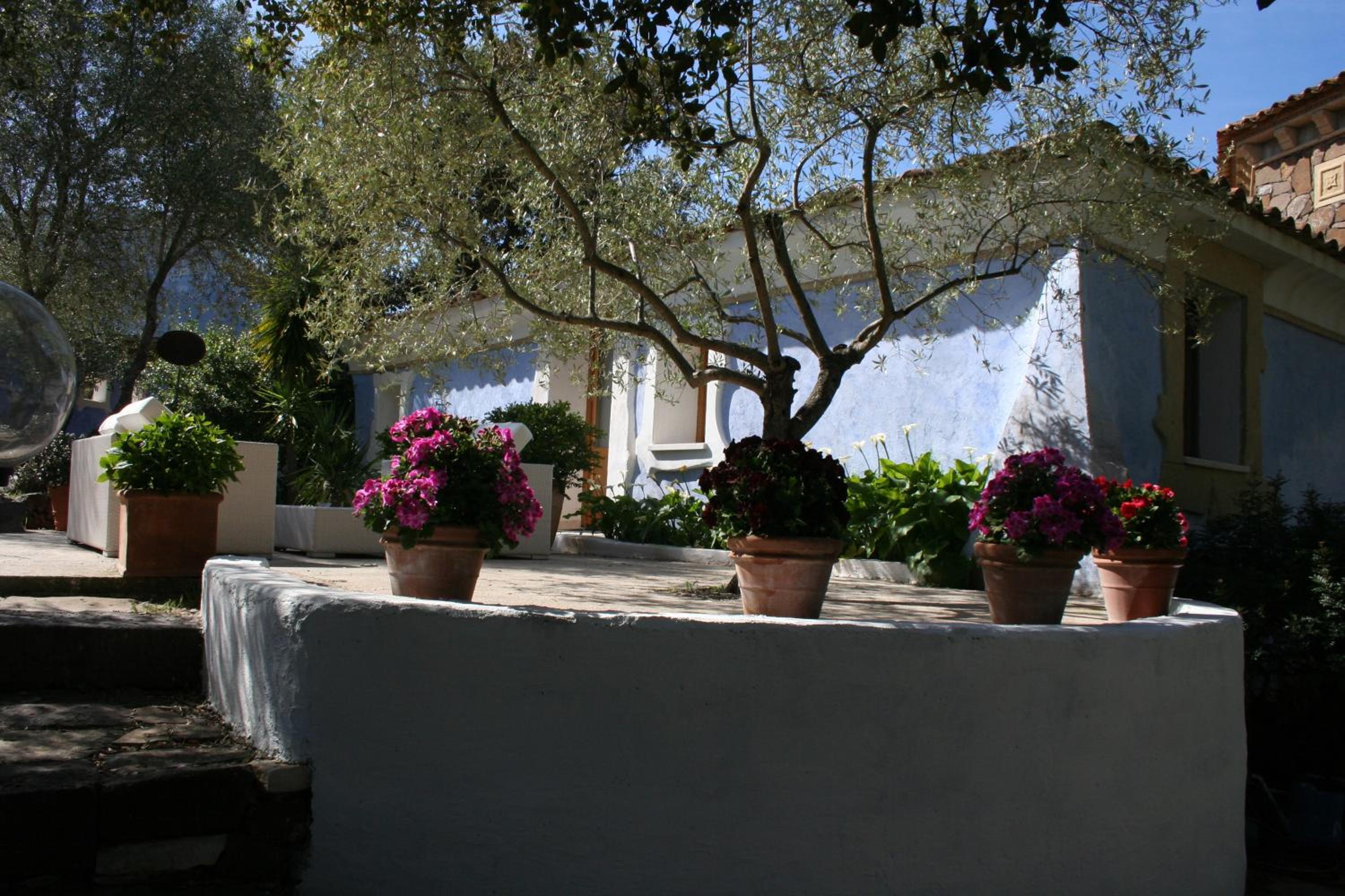 Photo 28