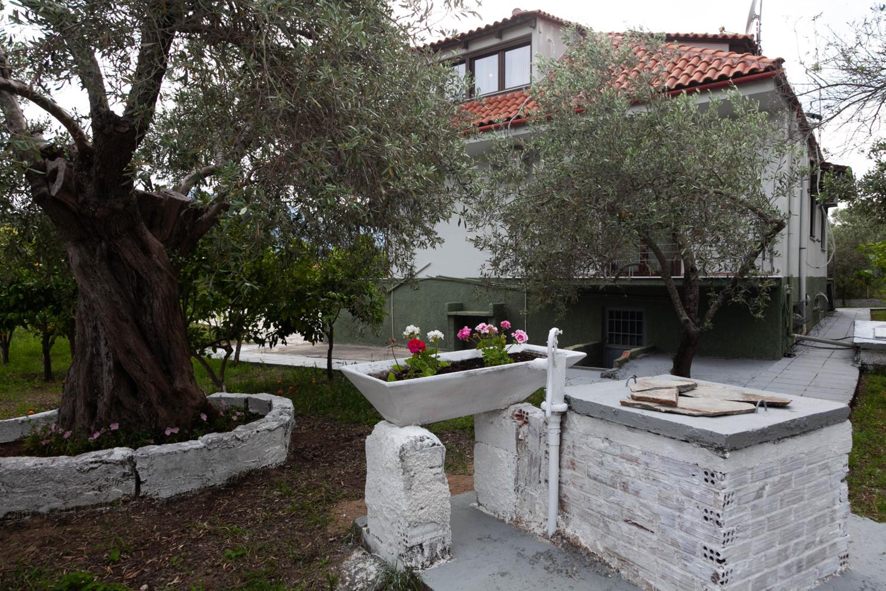 Villa Alex