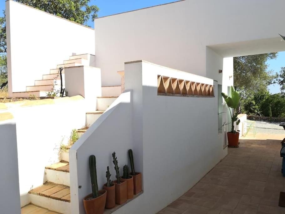 Eco-Villa Monte Do Barrocalinho view 3