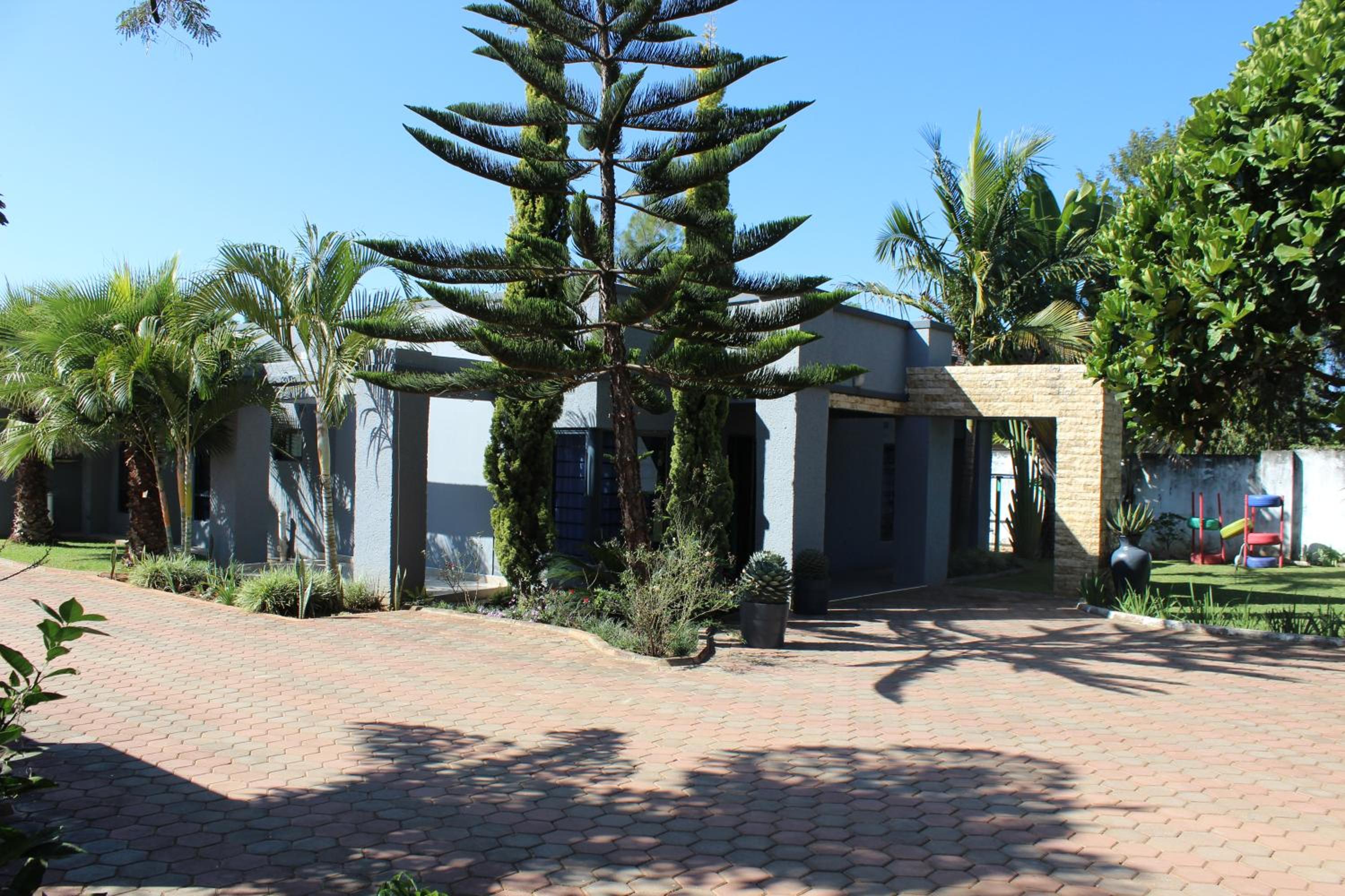 Blue Agave MH