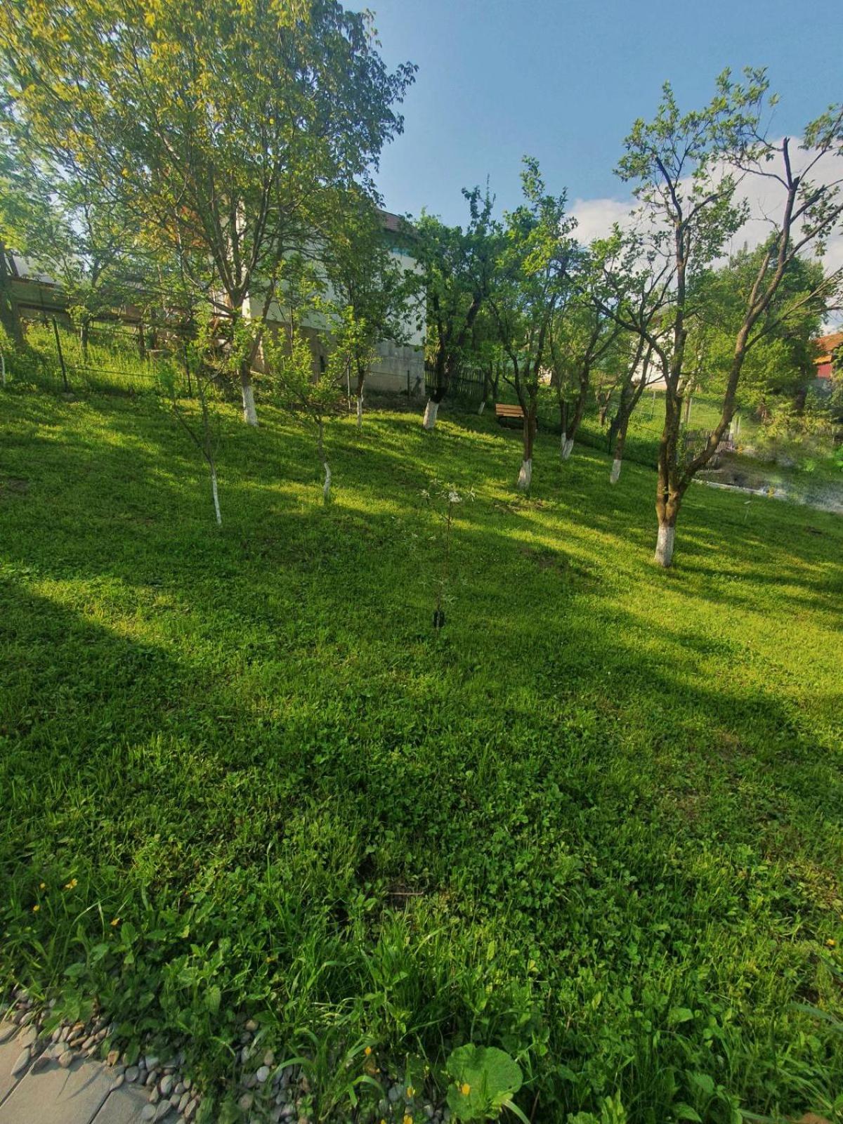 Photo 30
