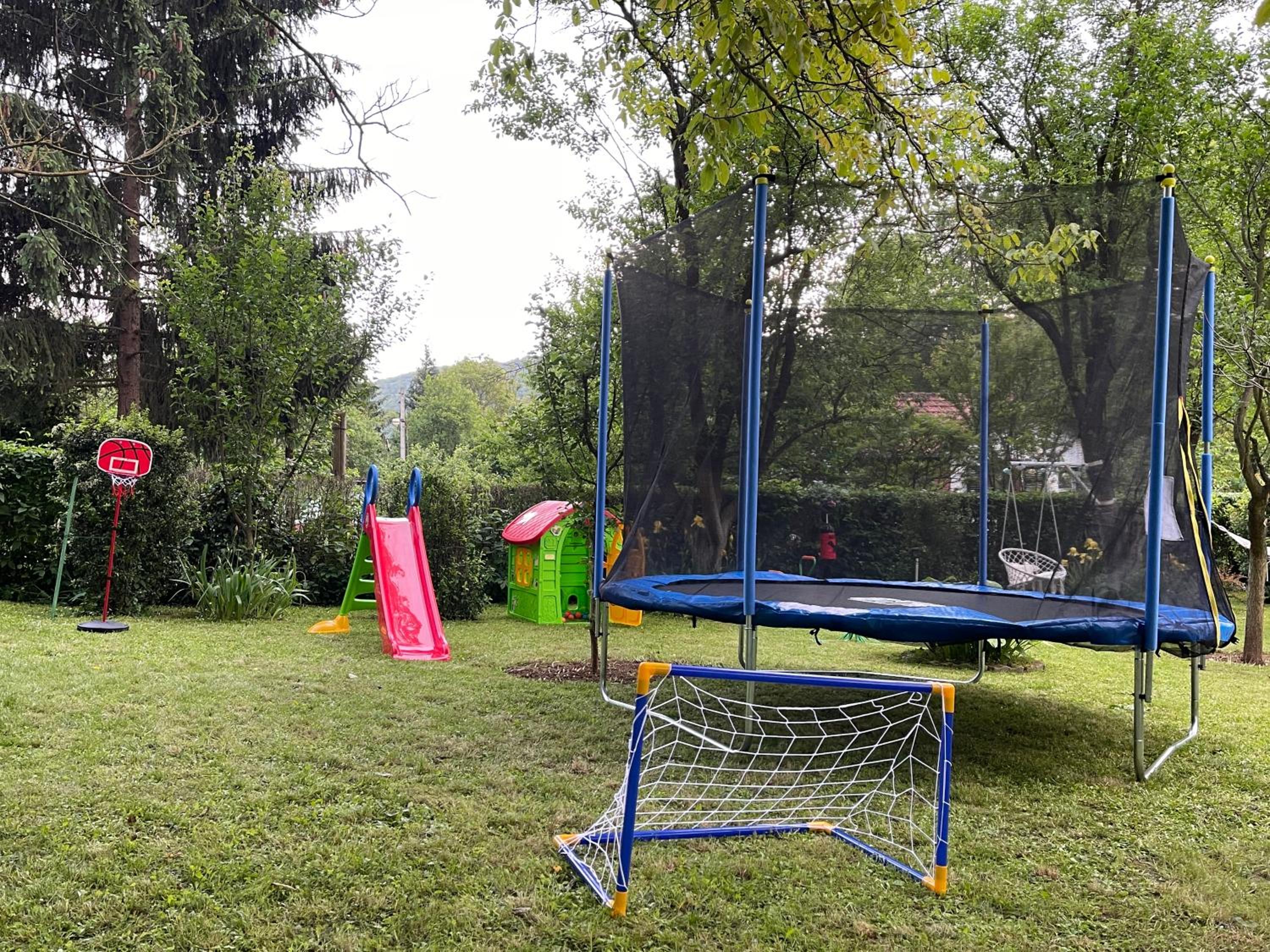 Photo 11
