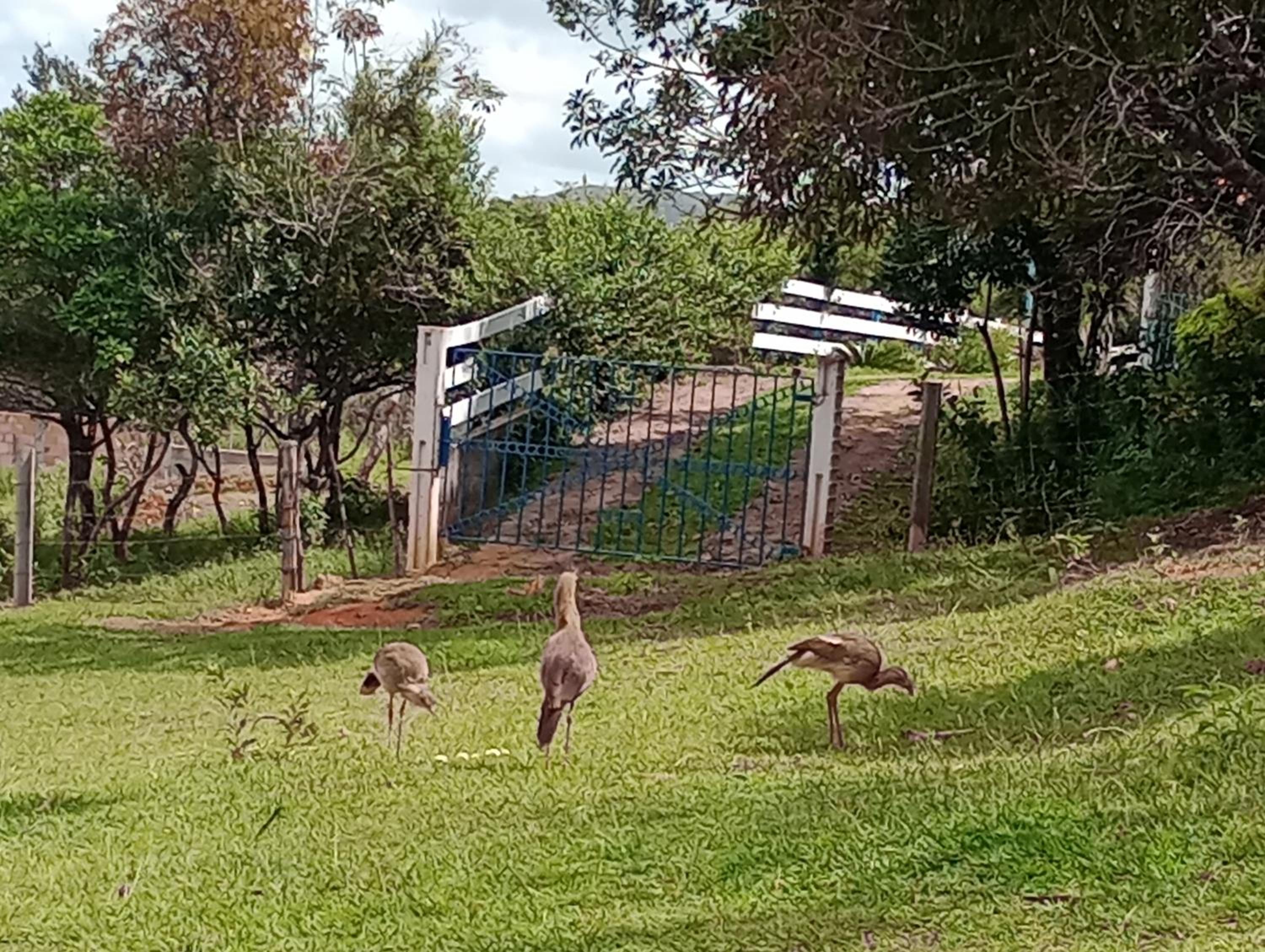 Chalés do Apolinário