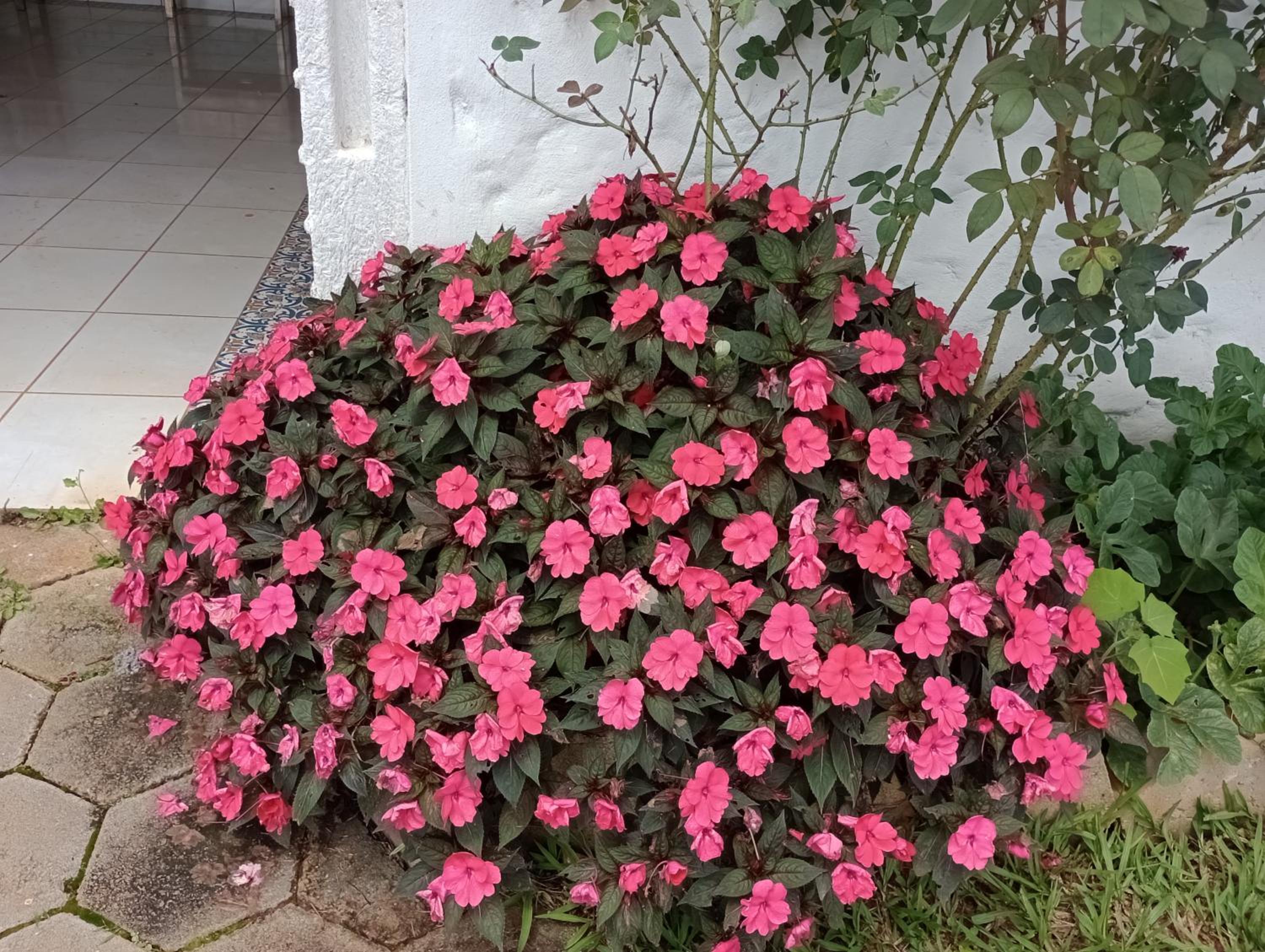 Chalés do Apolinário