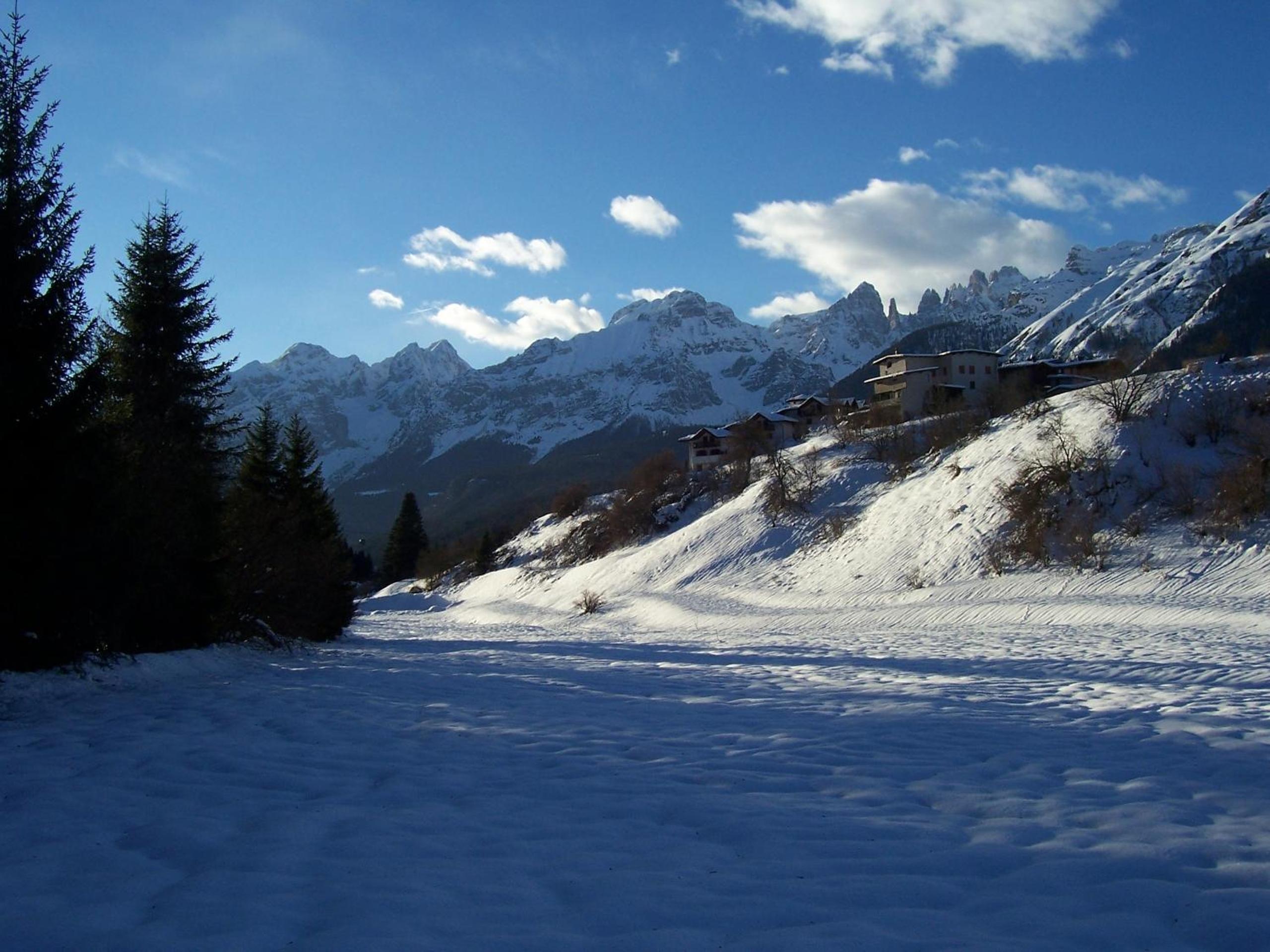 Photo 46