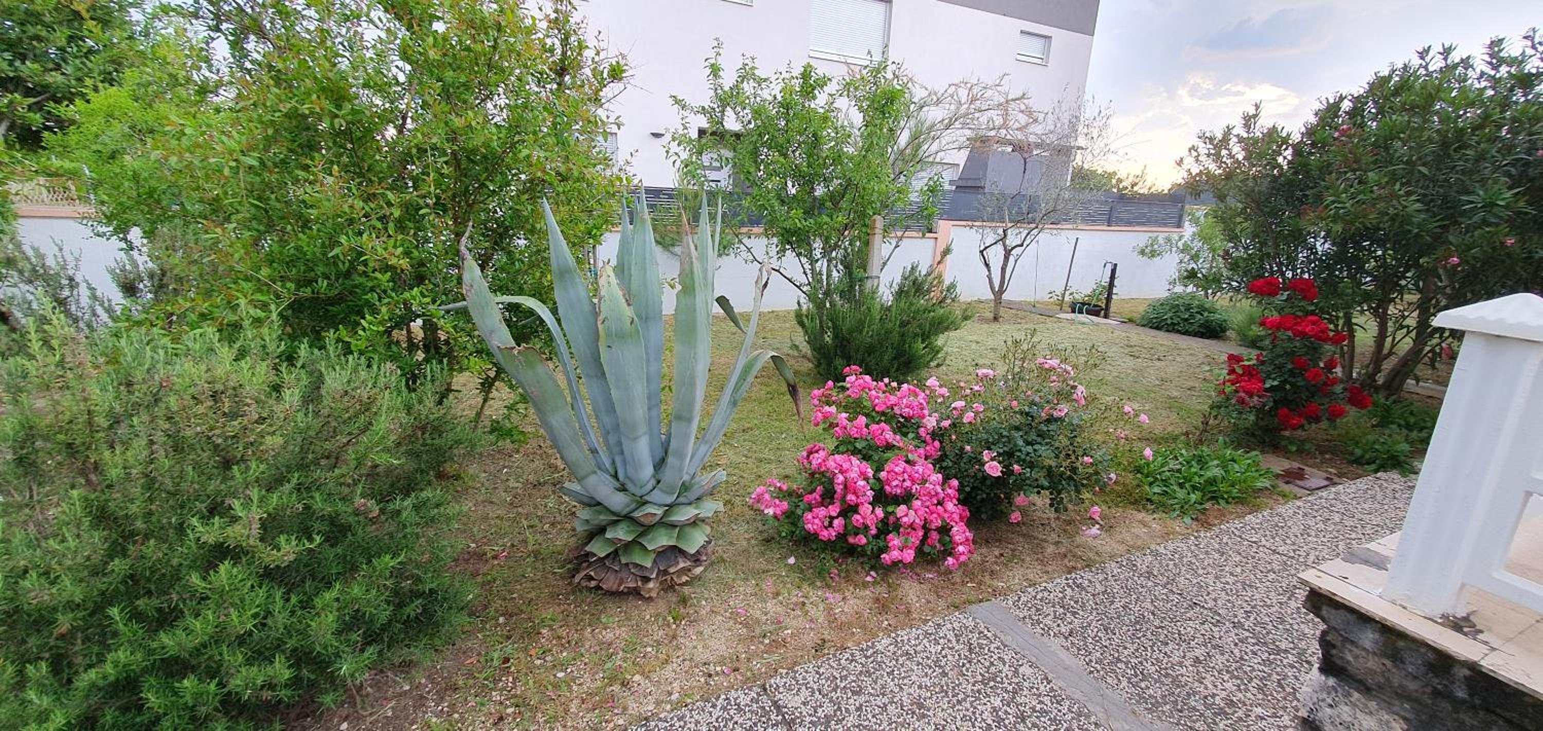 Mediterranean House view 4