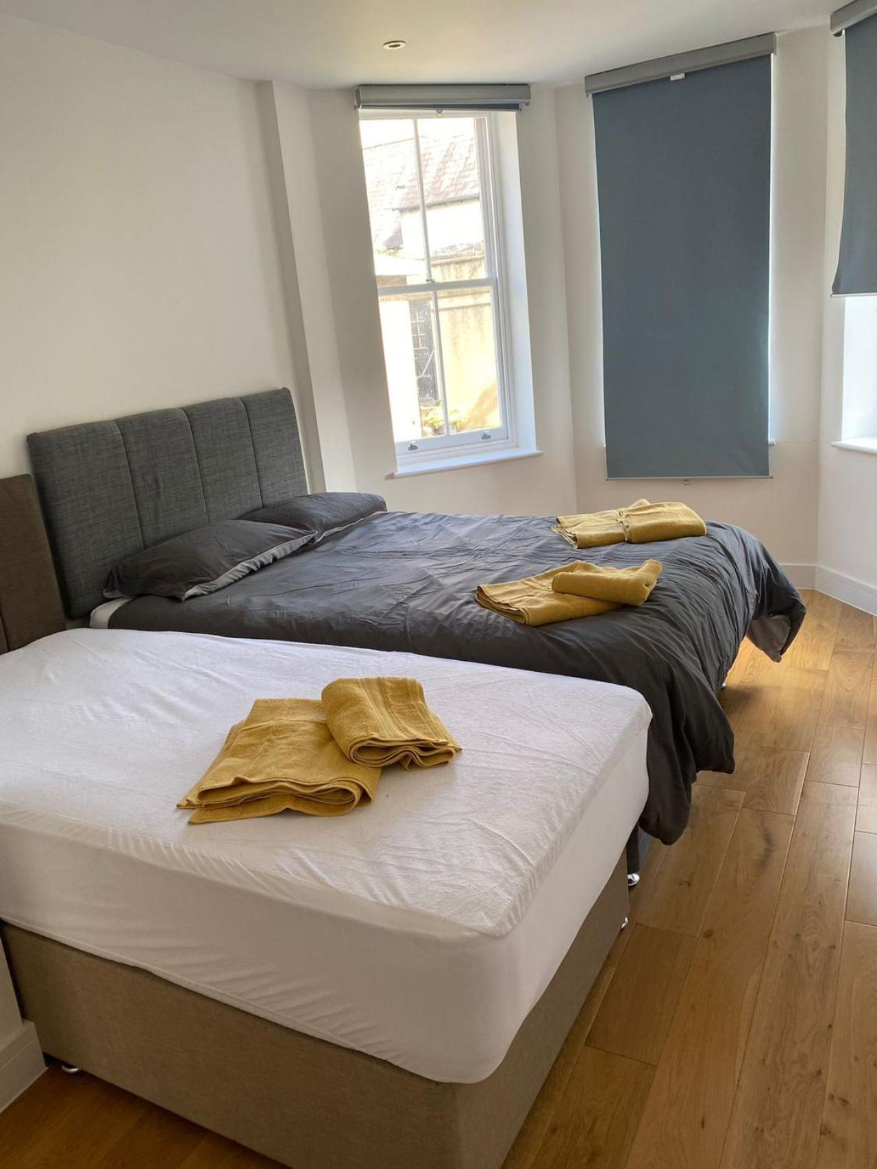 Luxury Flat Near Greenwich Park