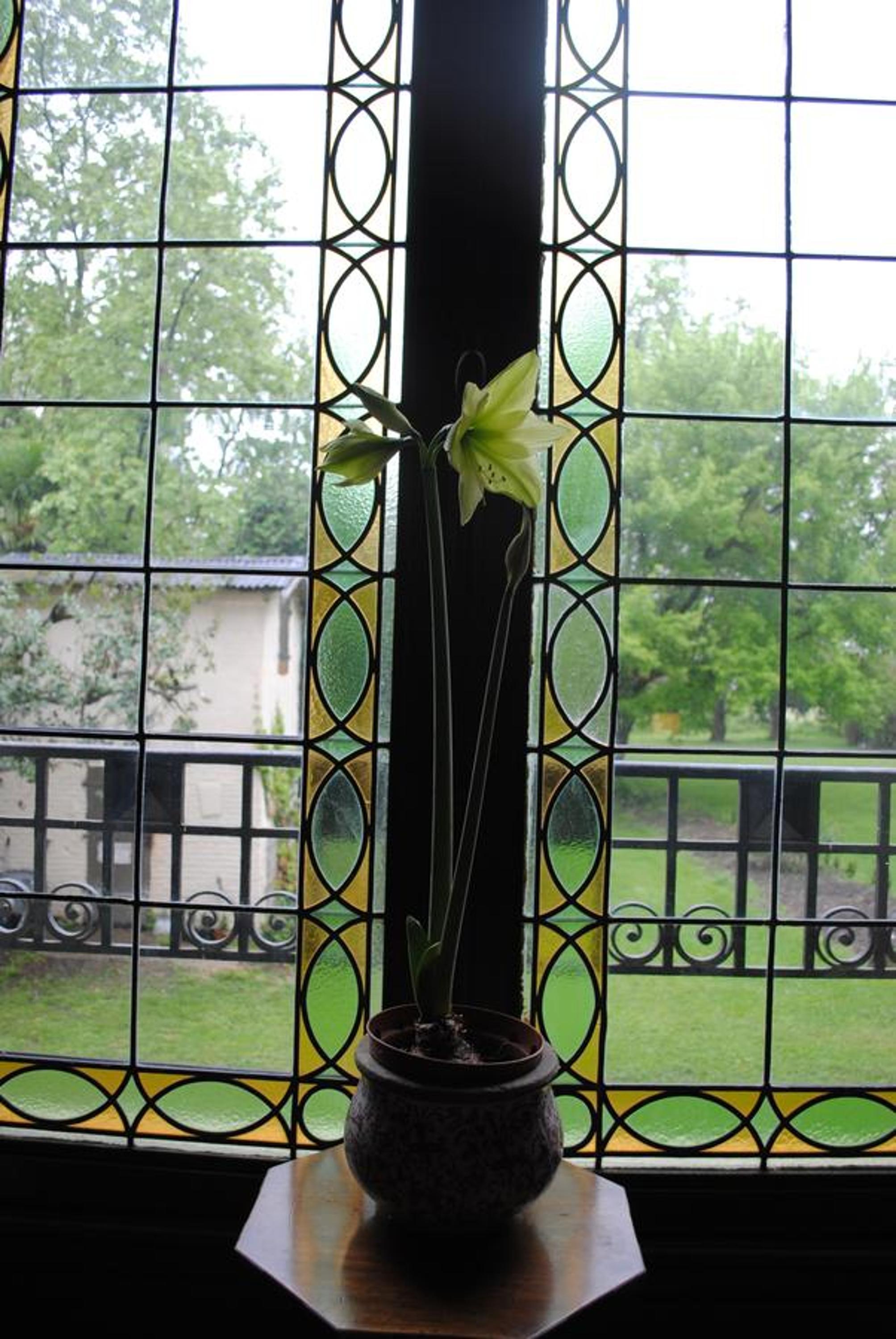 Photo 26