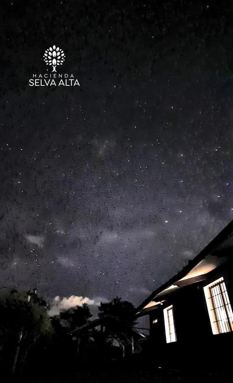 Photo 201