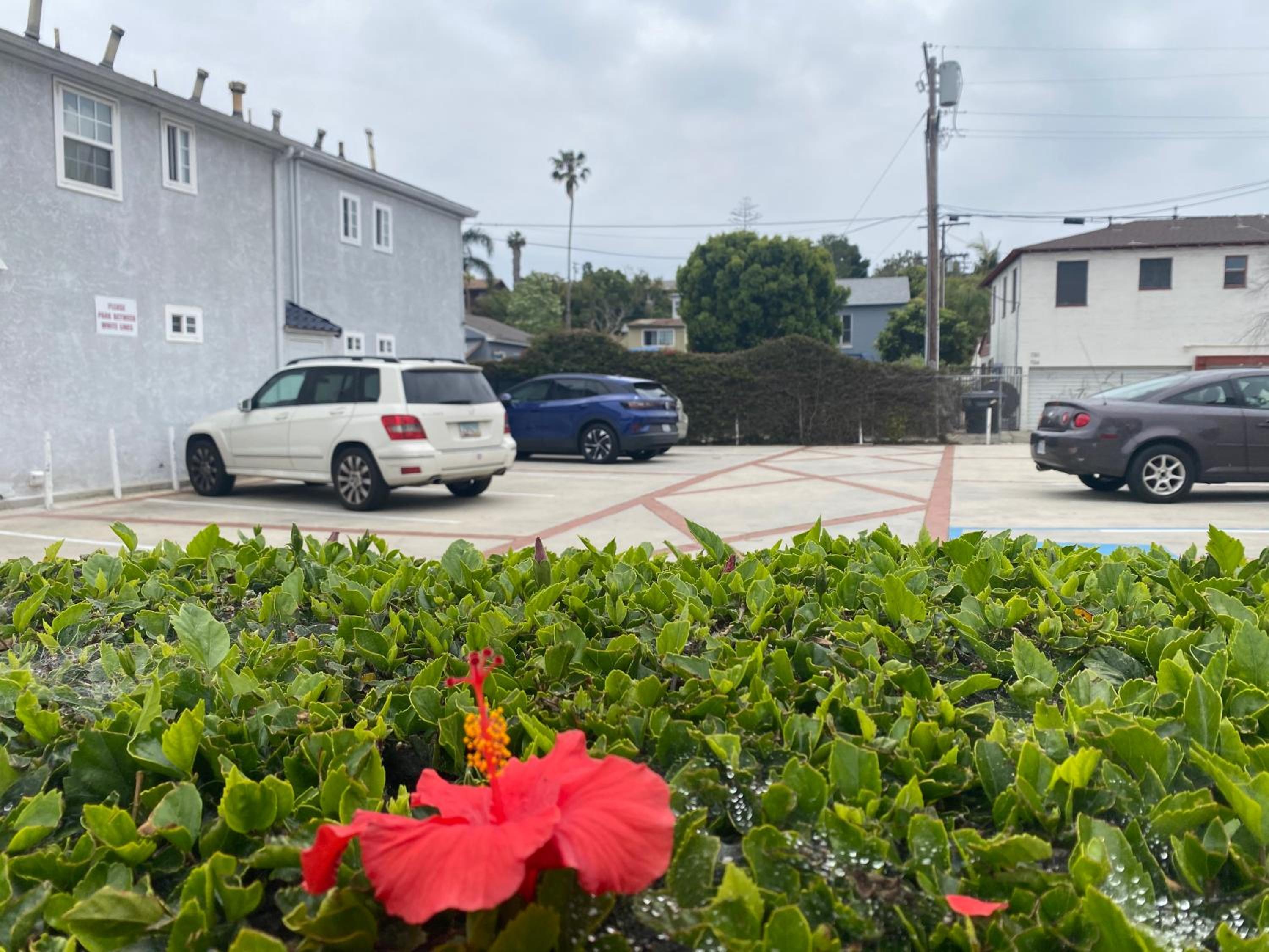 Ocean Park Inn