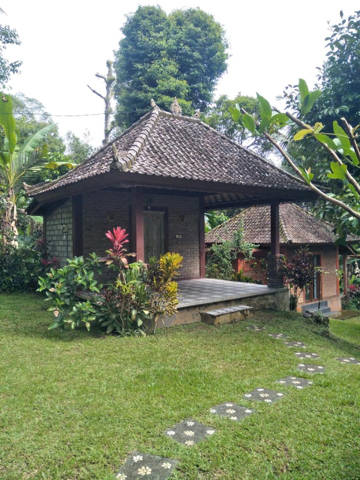 Purana Guest House view 4