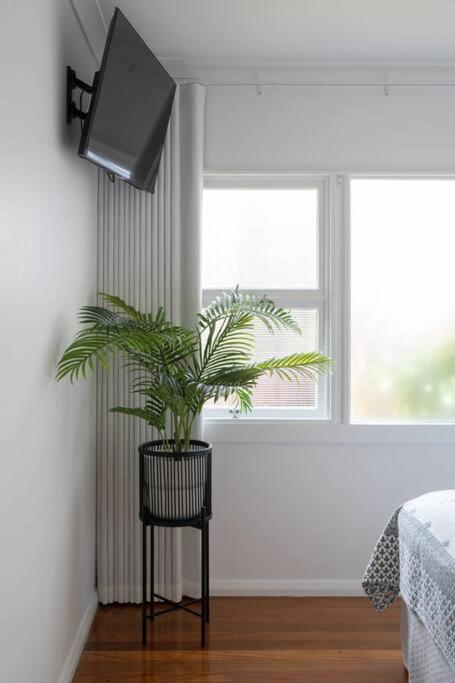 Boho Beach Lux at Burleigh Heads 250