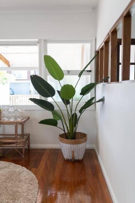 Boho Beach Lux at Burleigh Heads 250