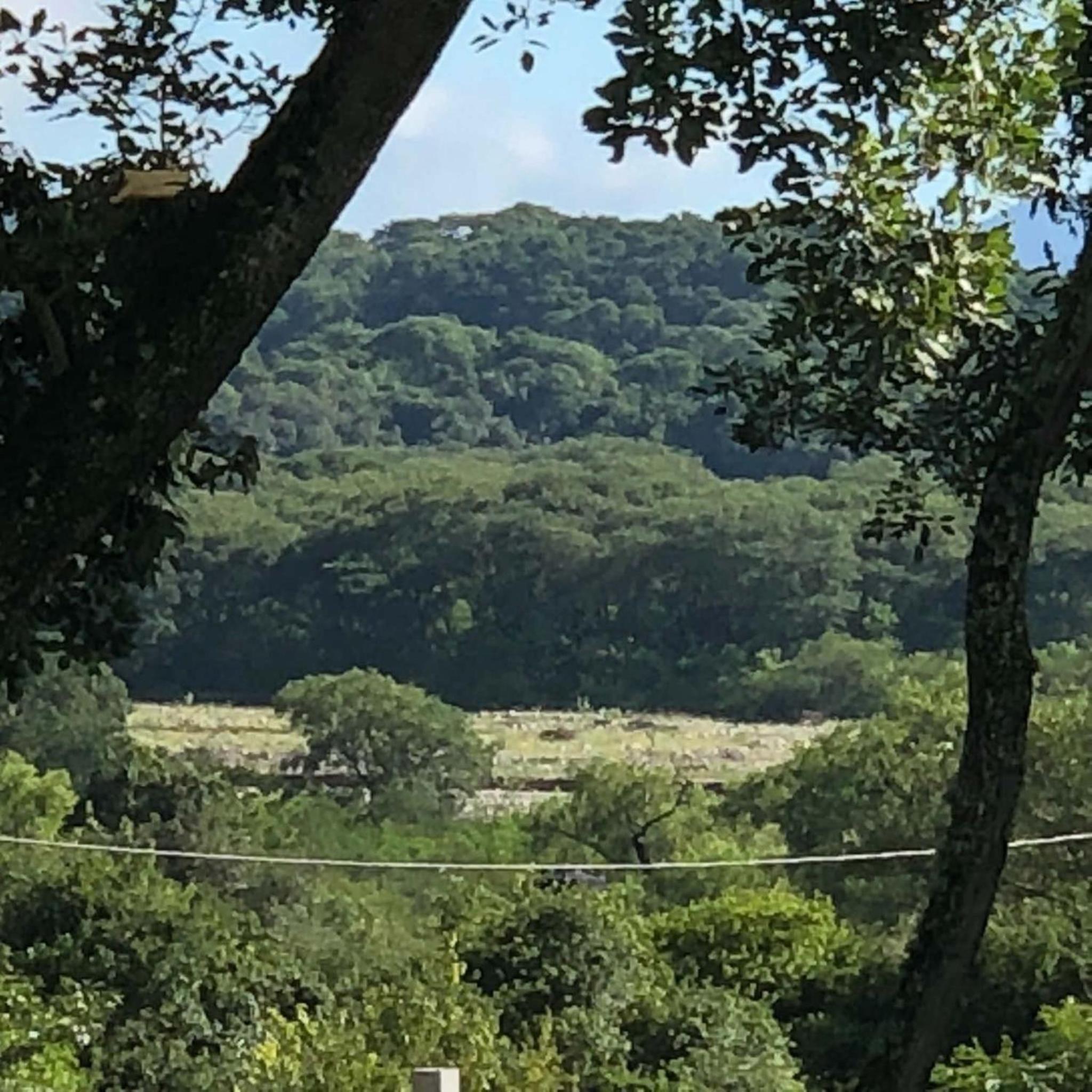 Nature, comfort, and authenticity in the Salta countryside