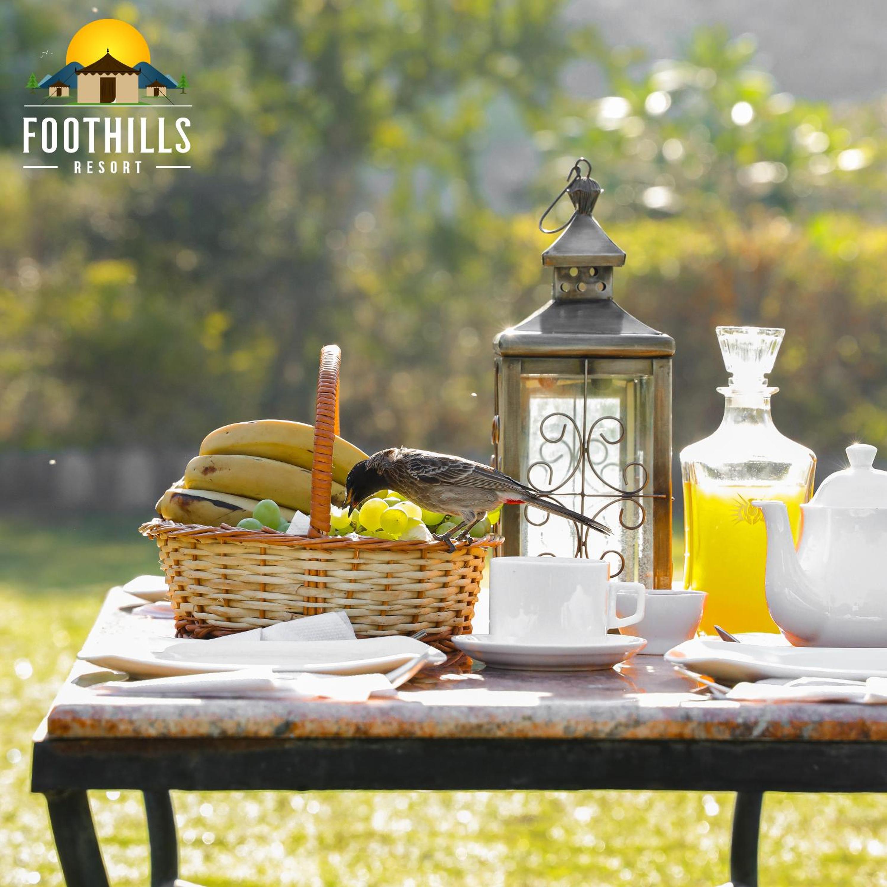 Foothill Pushkar Resort