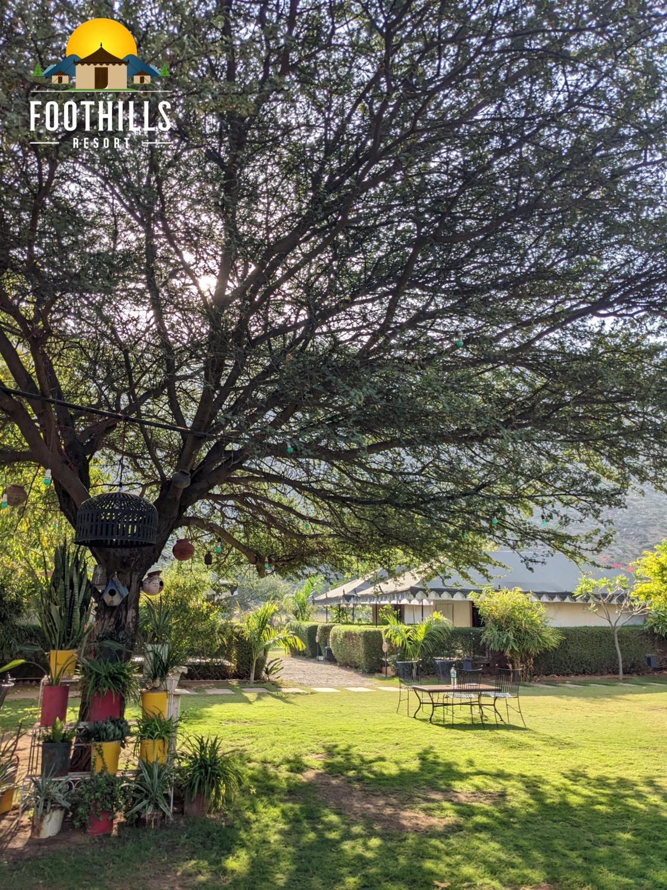Foothill Pushkar Resort