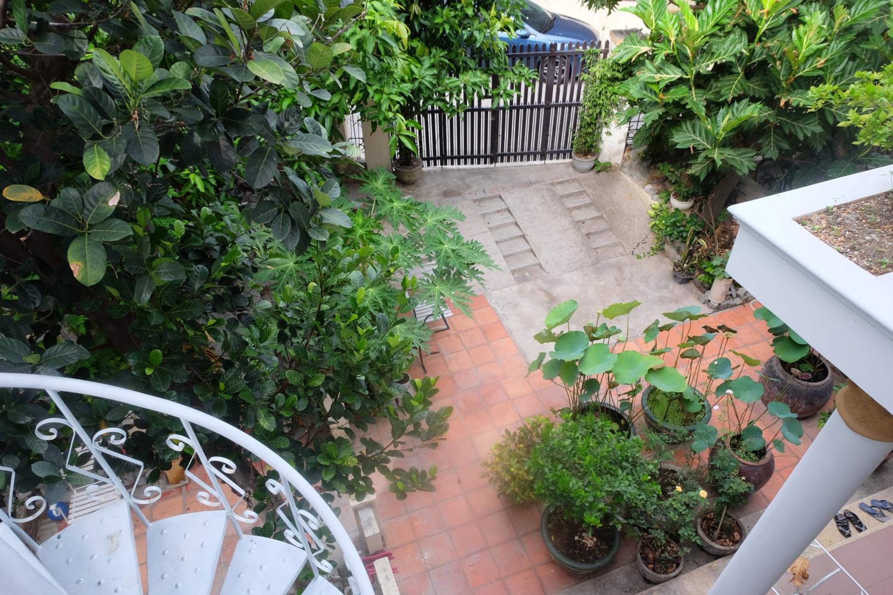 Moon house tropical garden - Coconut view 3