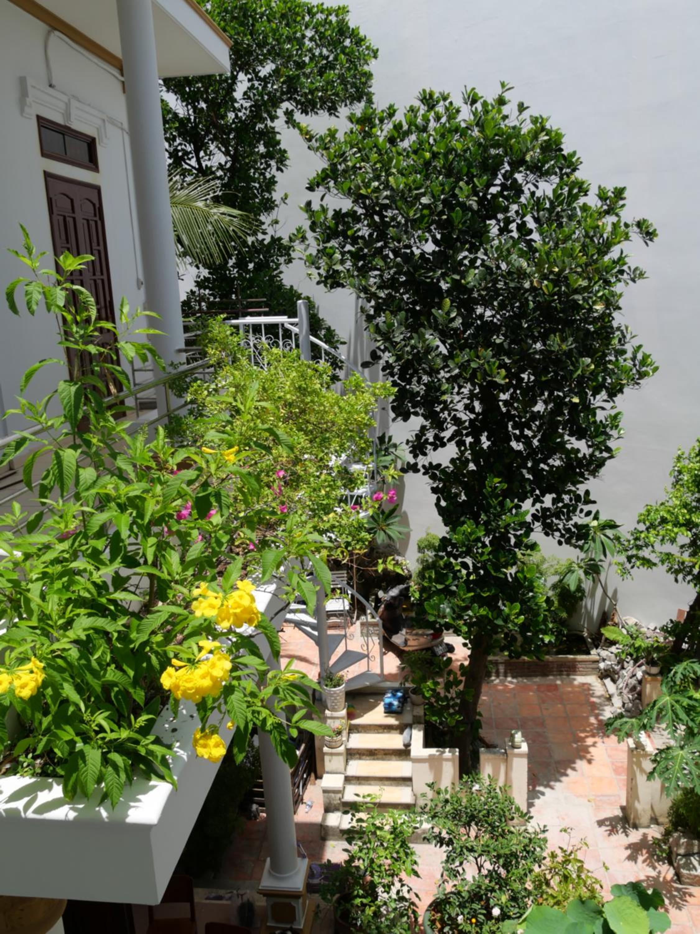 Moon house tropical garden - Coconut view 2