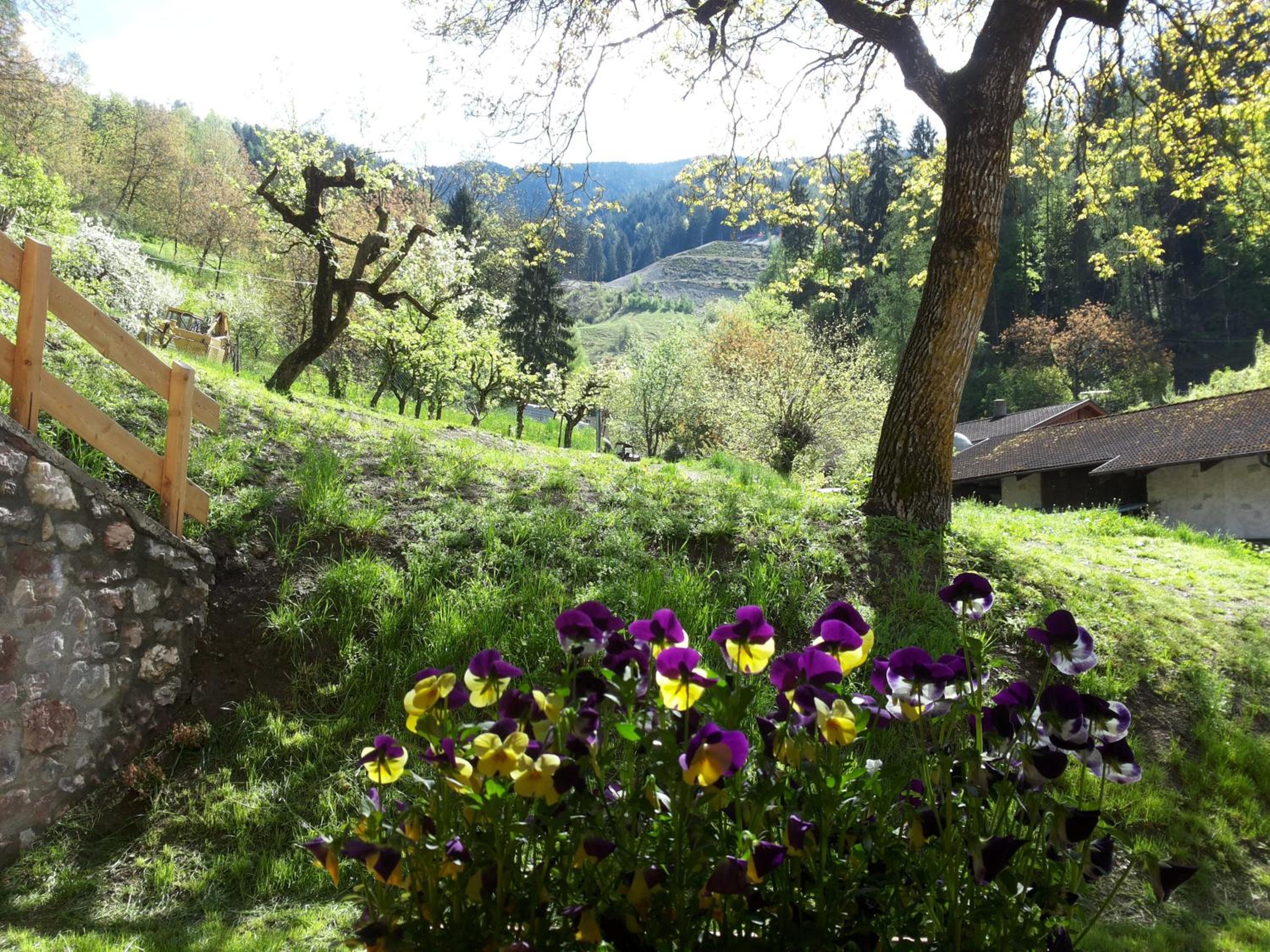 Agriturismo Dalla Natura la Salute