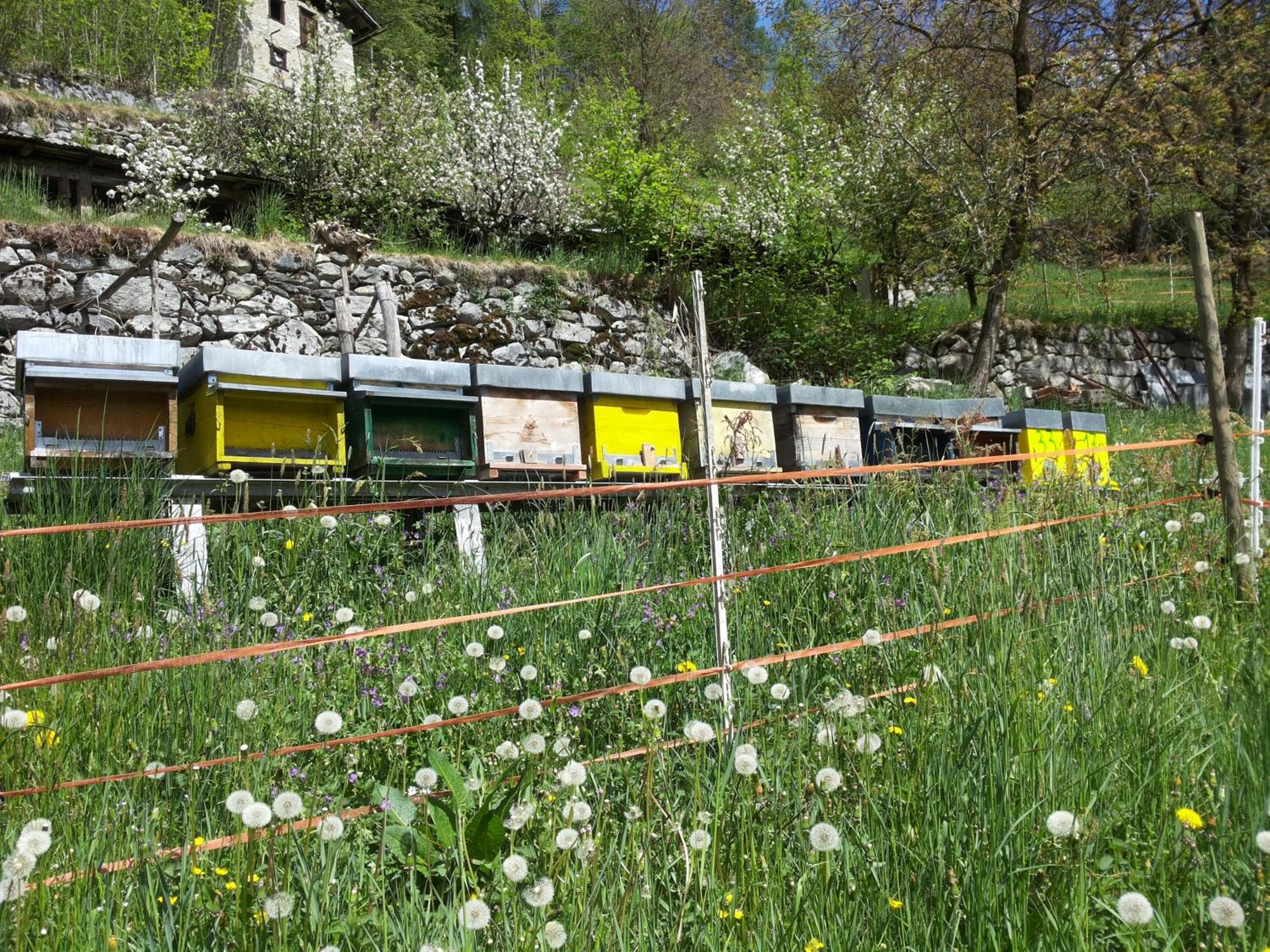 Agriturismo Dalla Natura la Salute
