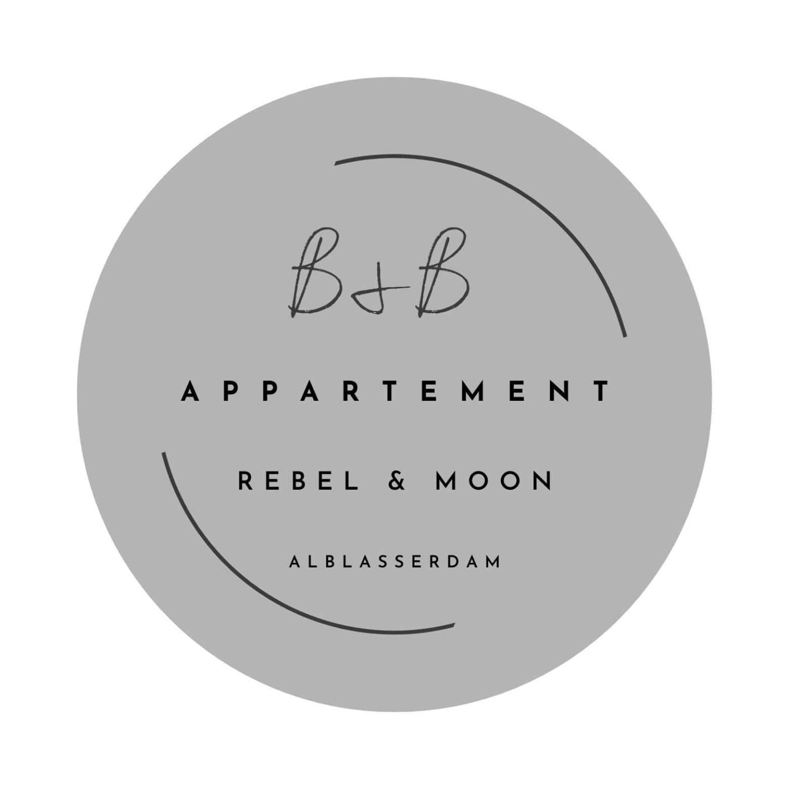 B&B appartement Rebel and Moon in het centrum van Alblasserdam view 5