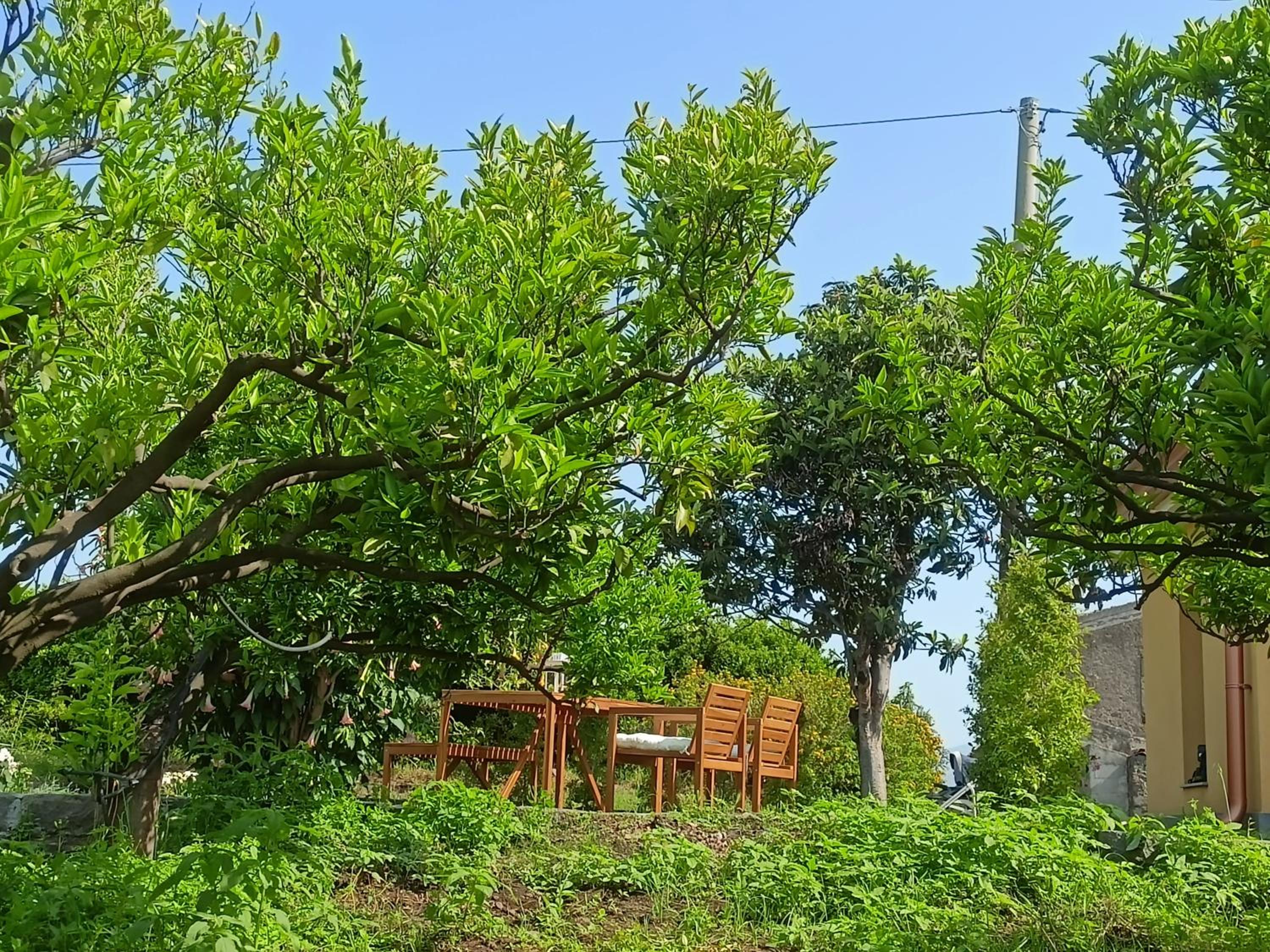 Photo 27