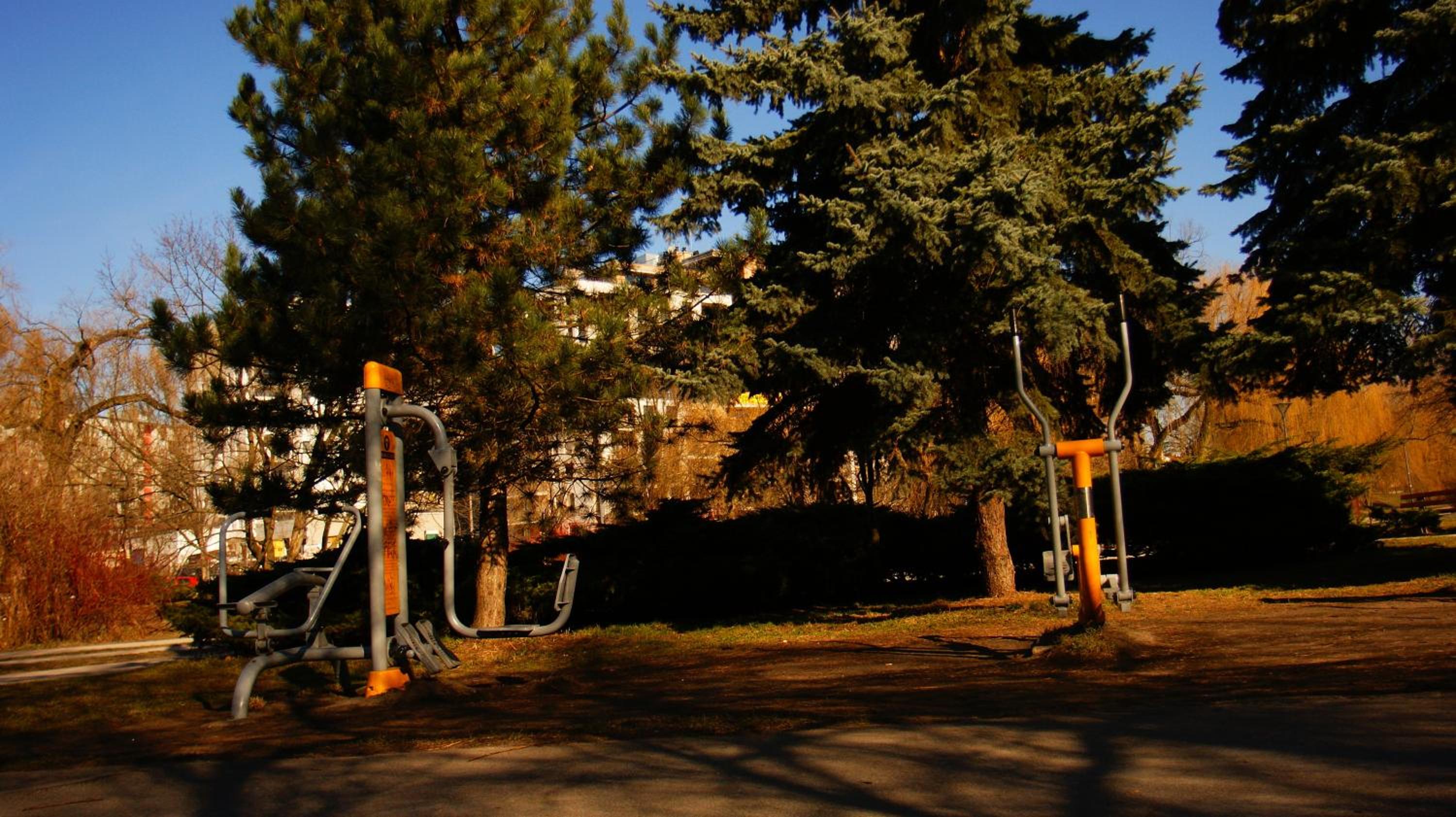 Apartament Parkowy view 4