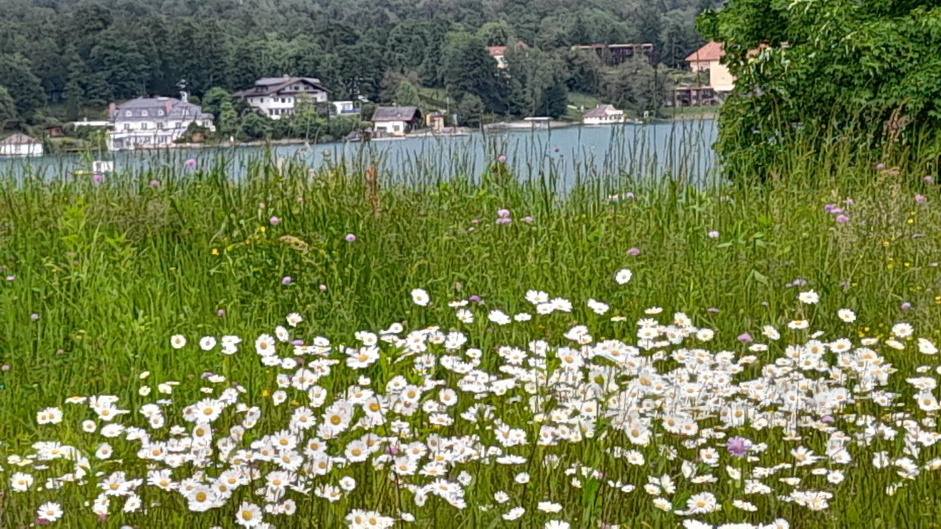 Glanz und Gloria Velden! Wörthersee in 5 min zu Fuß erreichbar!