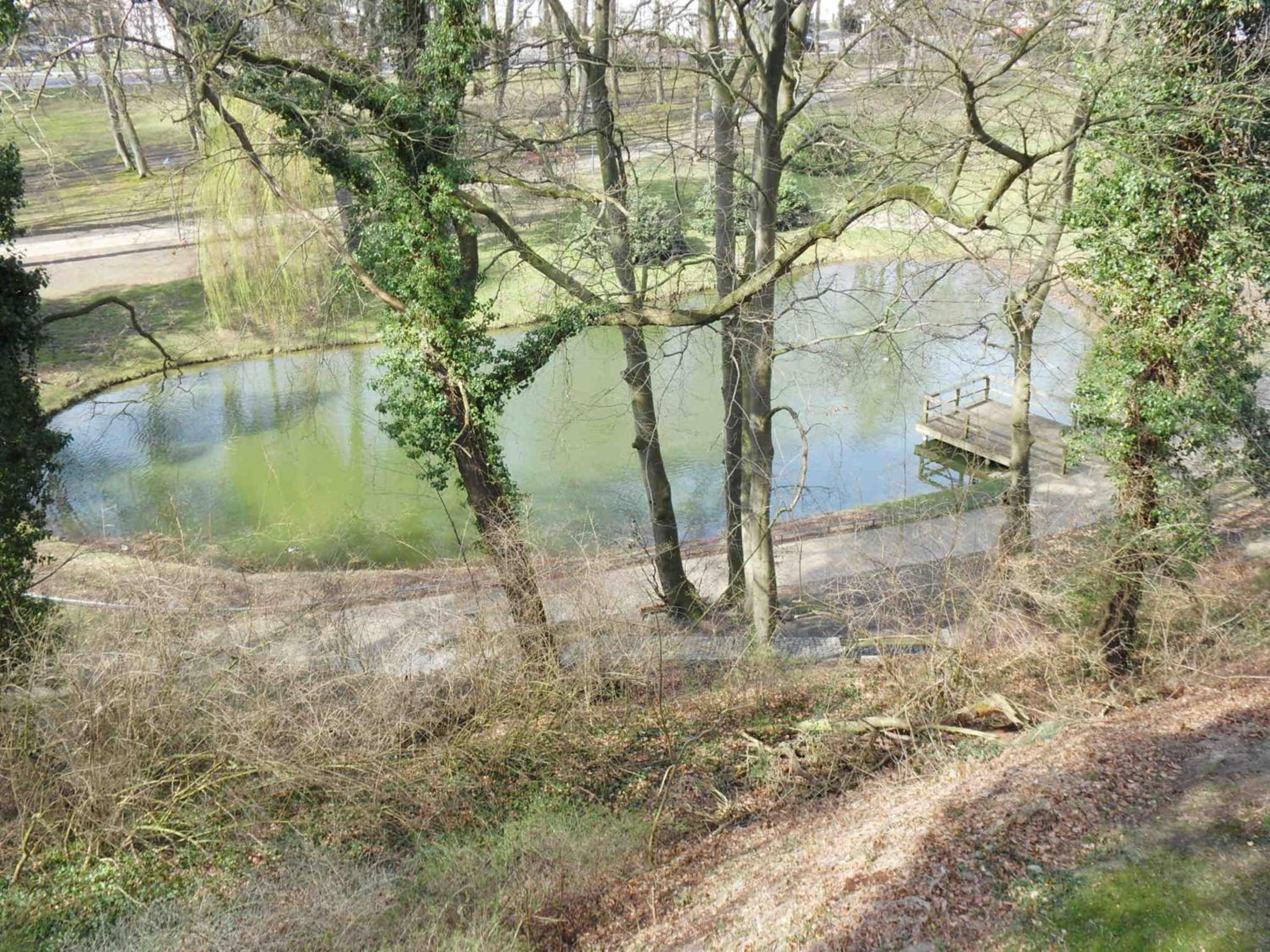 Ferienresidenz am Buchenpark