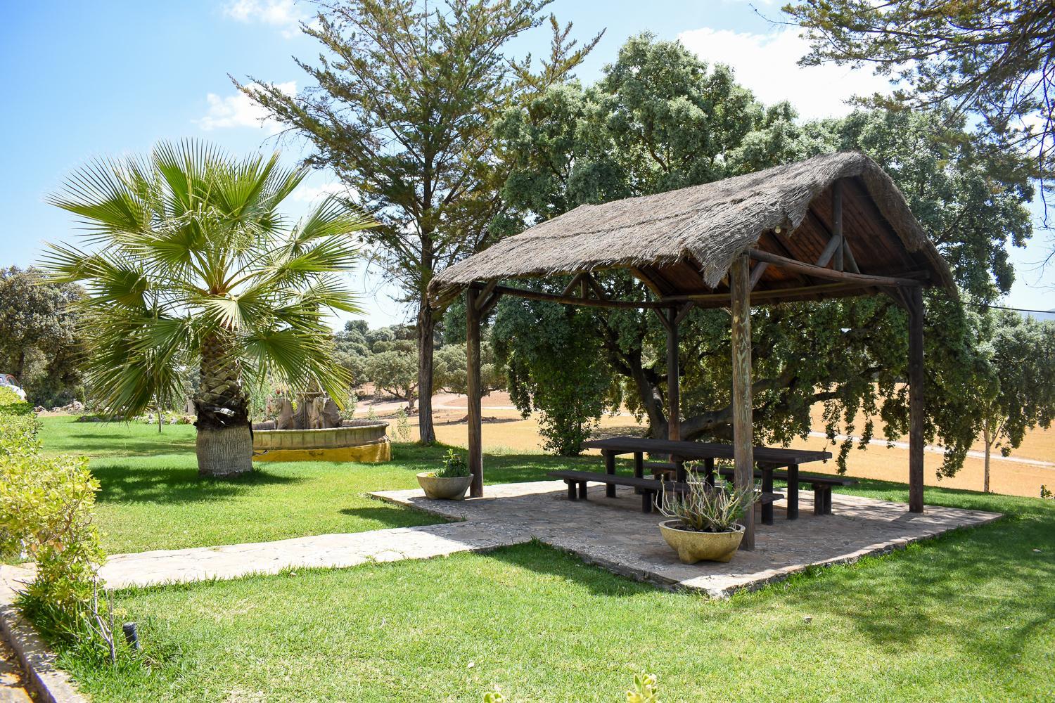 Finca La Lola - Secluded Andalusian Finca for Groups of up to 20 Guests view 4
