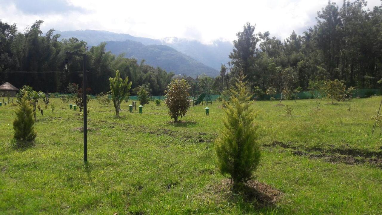 Tiger Tracks Resort view 4
