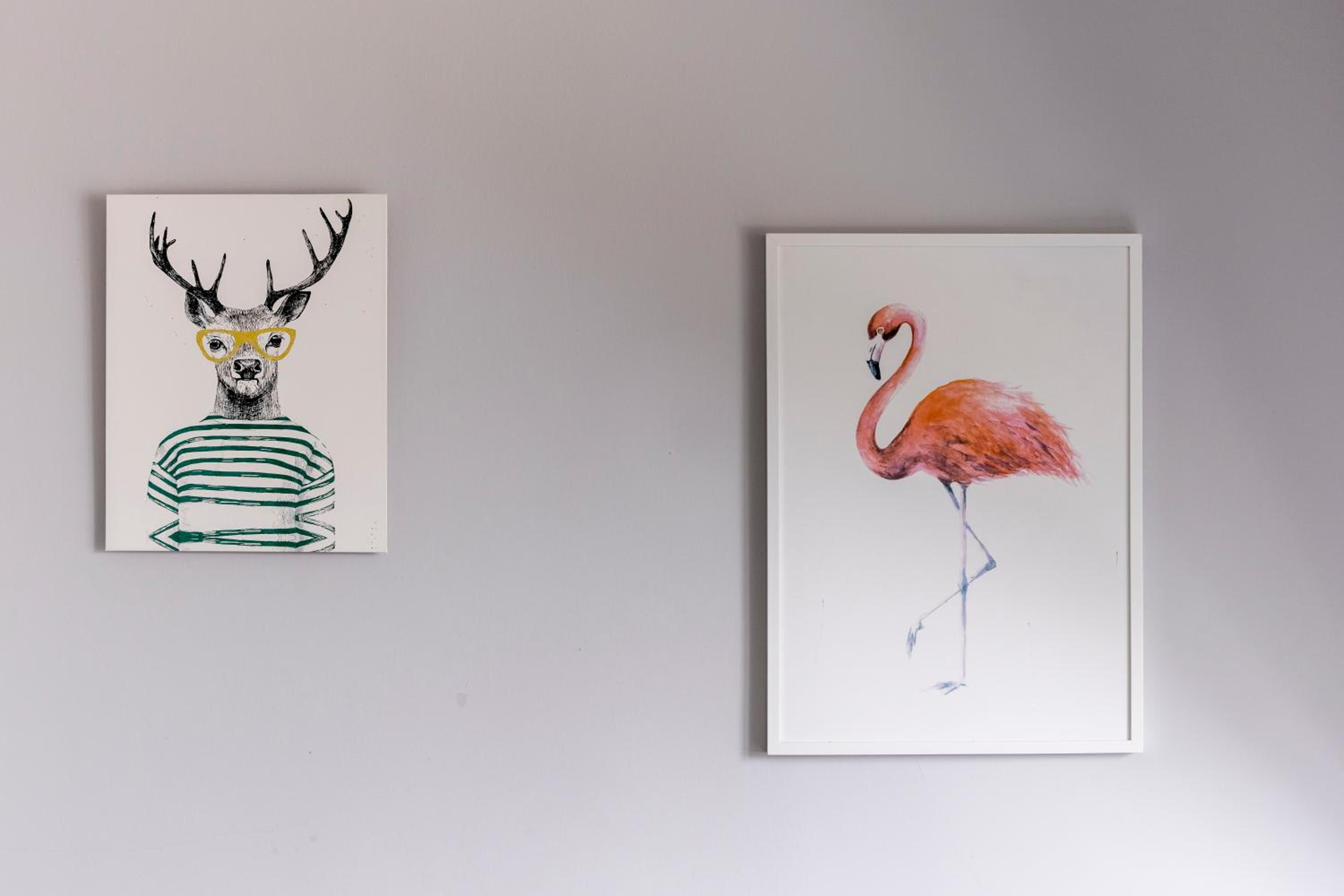 Apartamenty Stare Zoo