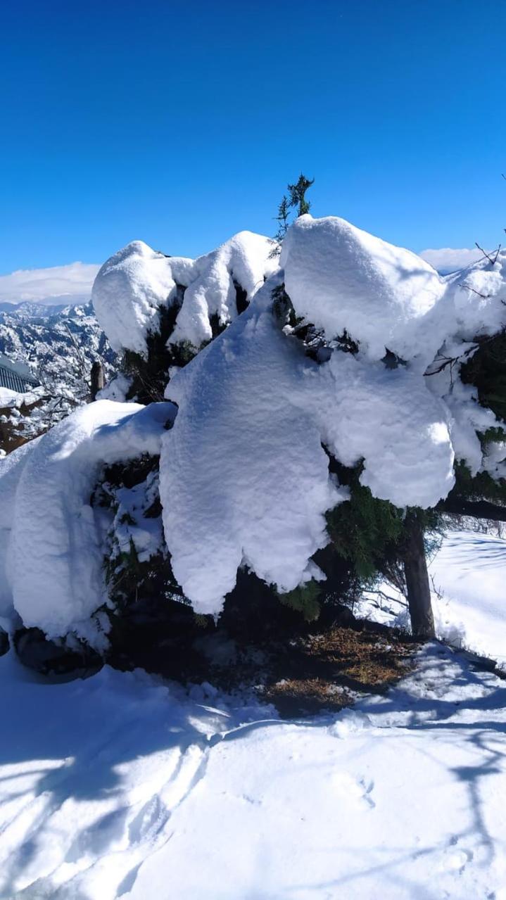 Deodar Homestay Dakbangla-kufri