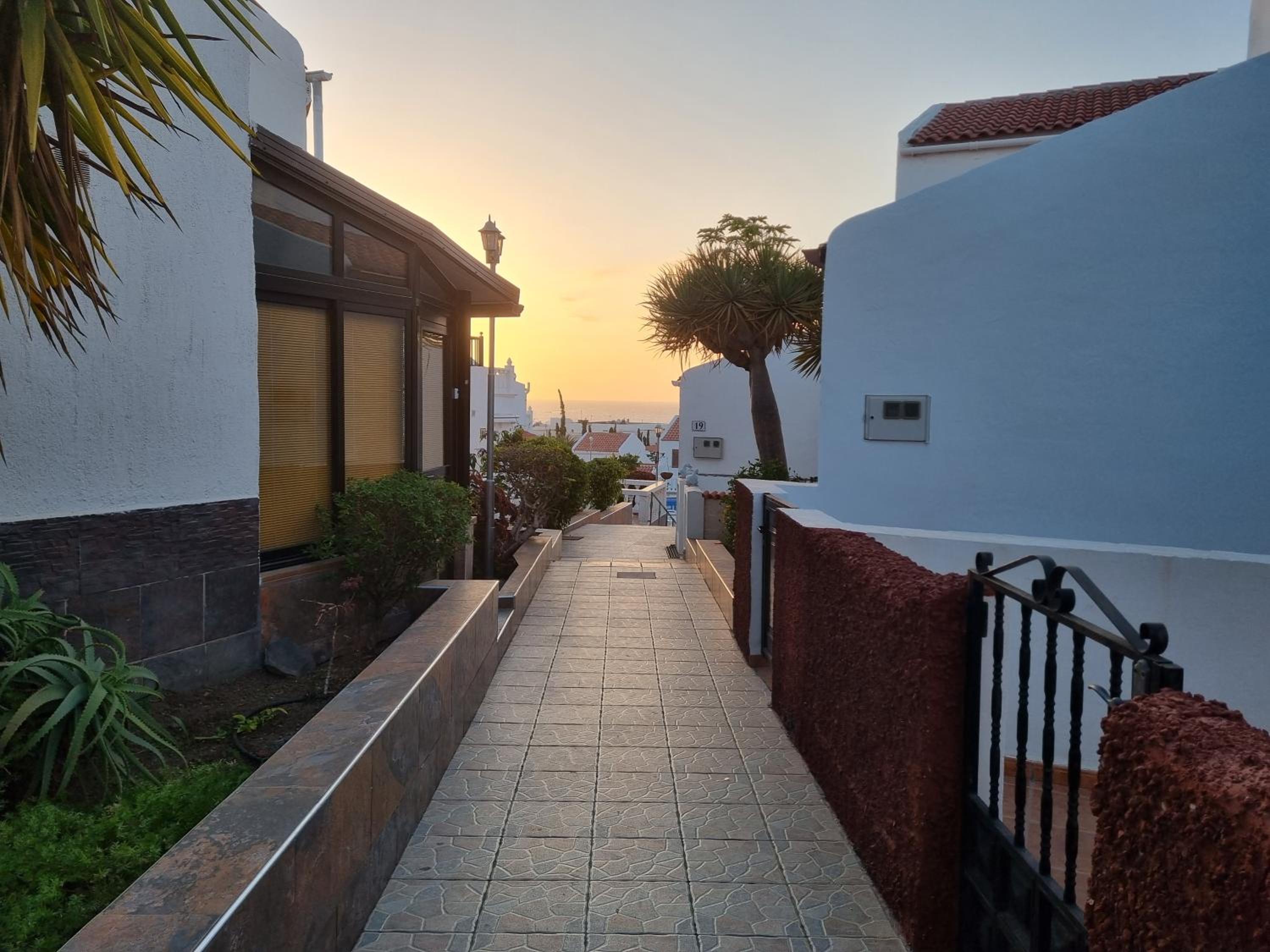Casa de Palmeras