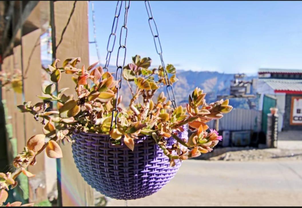 Deodar Homestay Dakbangla-kufri
