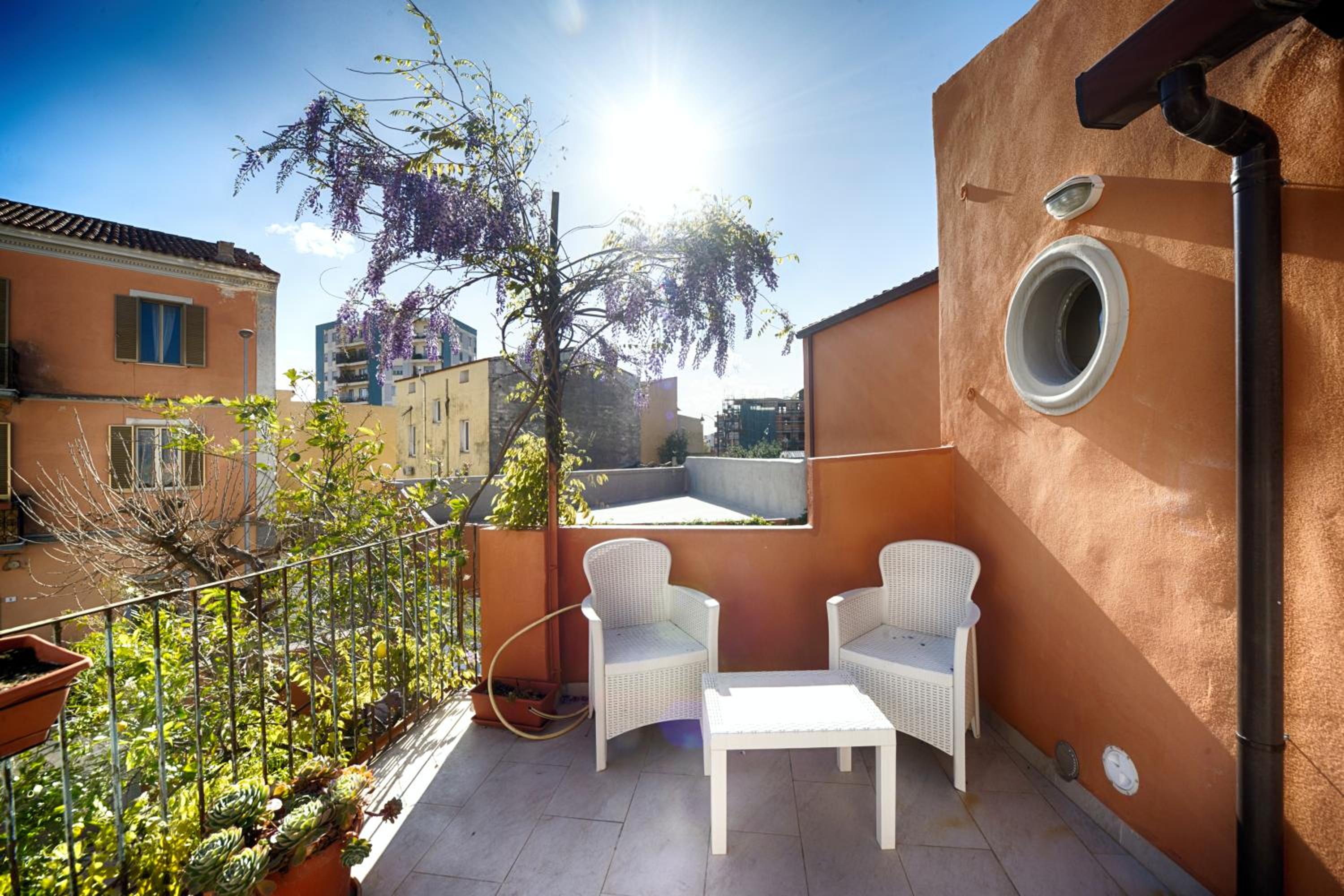 balance & terrace