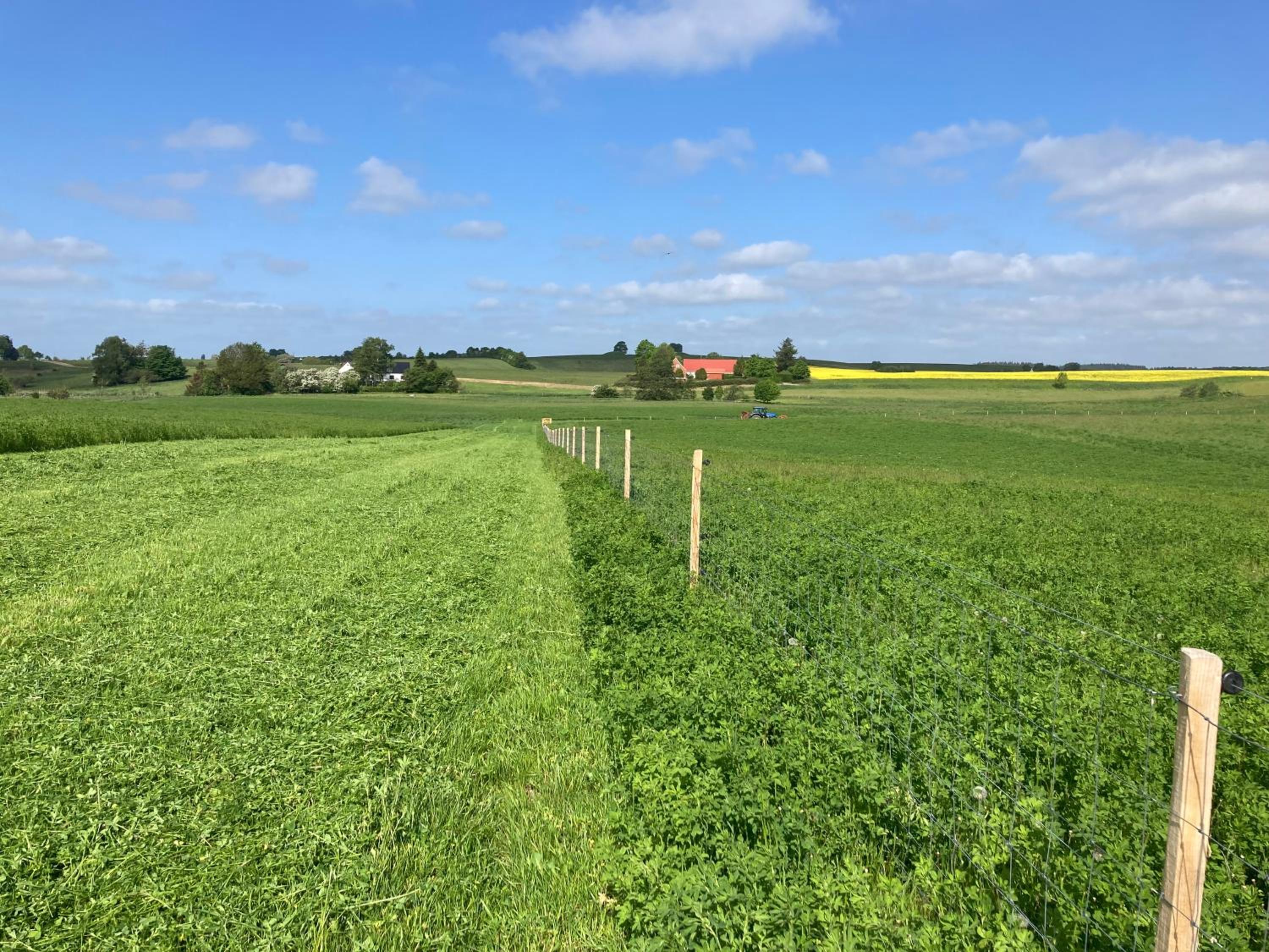 Vinkelgaard