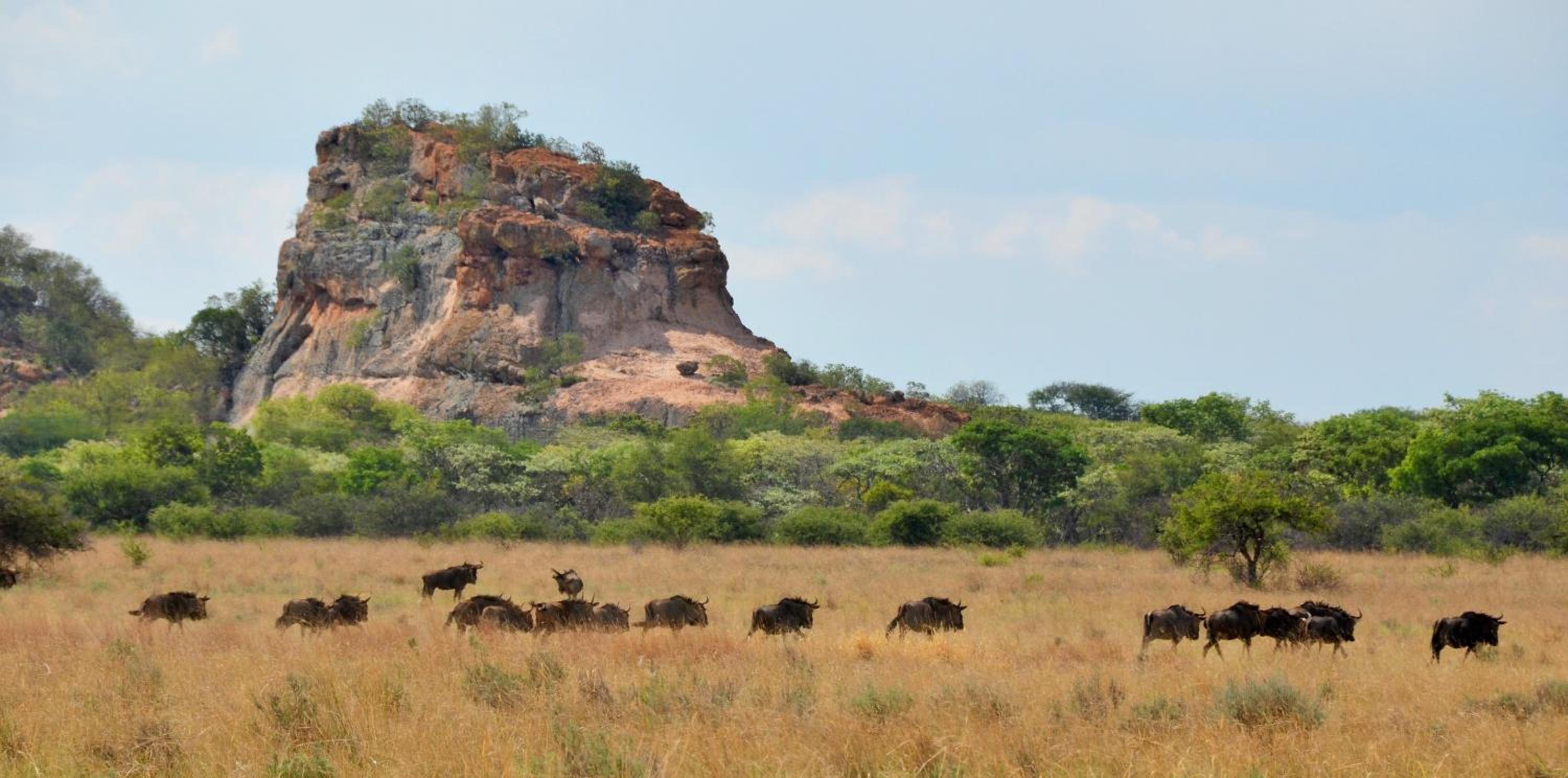 Zwahili Private Game Lodge & Spa